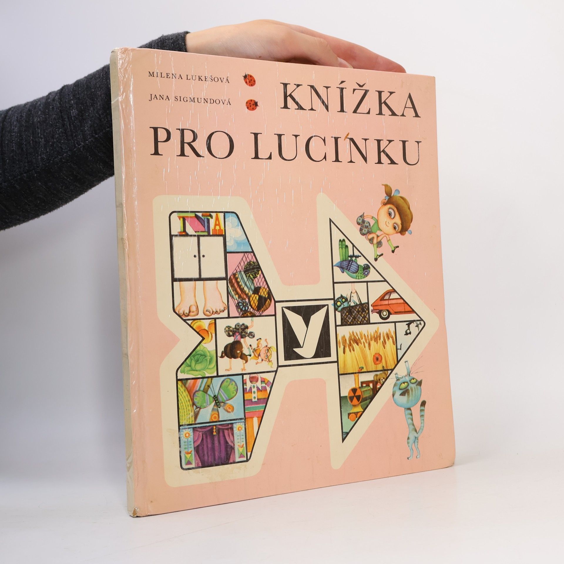 Milena Lukešová Knížka pro Lucinku