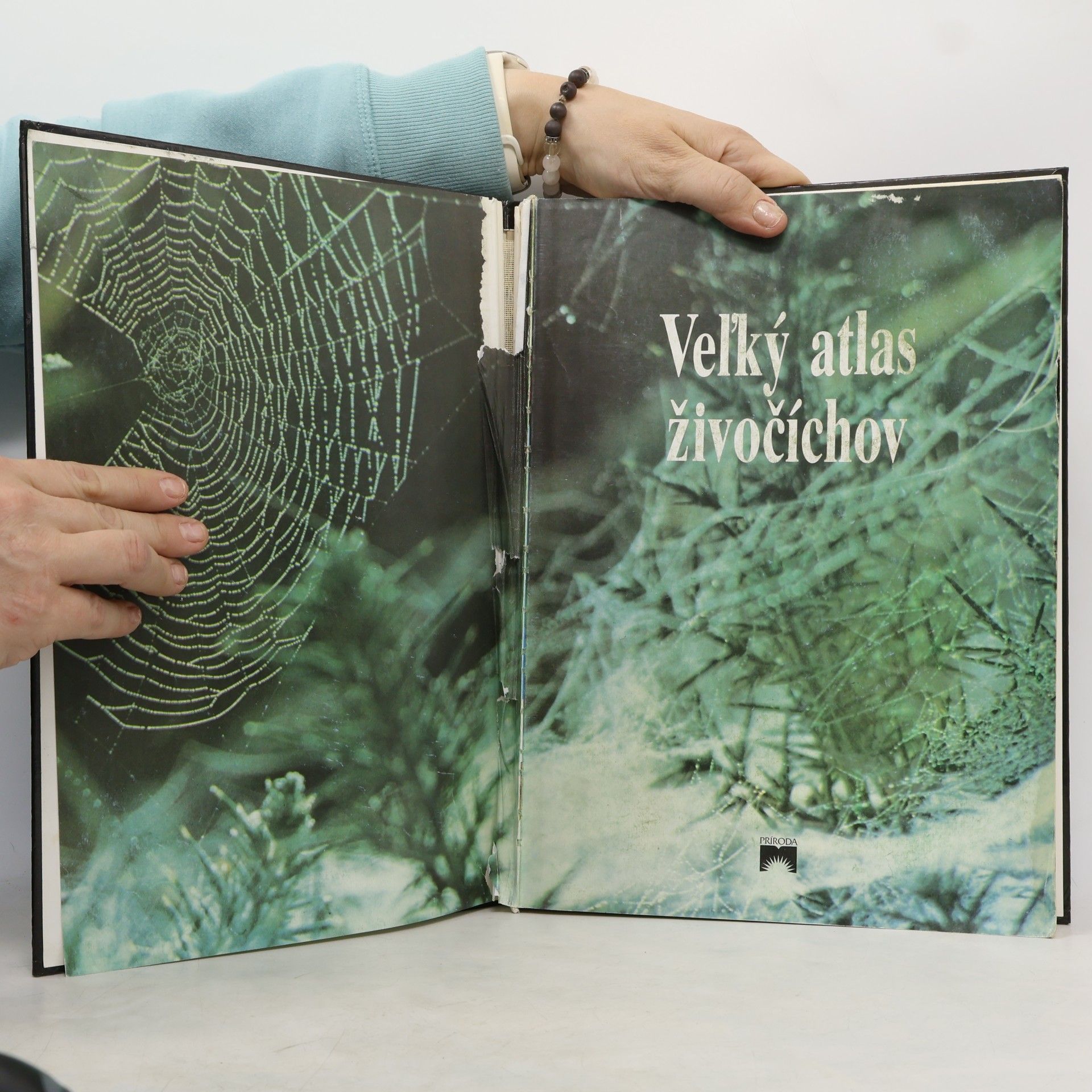 Autorenkollektiv Veľký atlas živočíchov