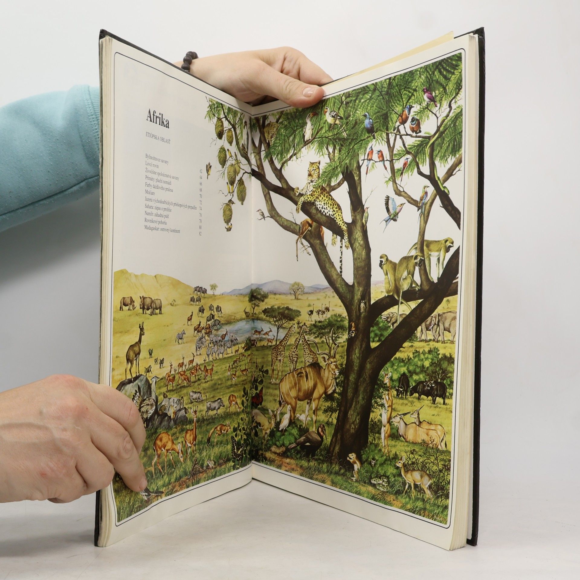Autorenkollektiv Veľký atlas živočíchov