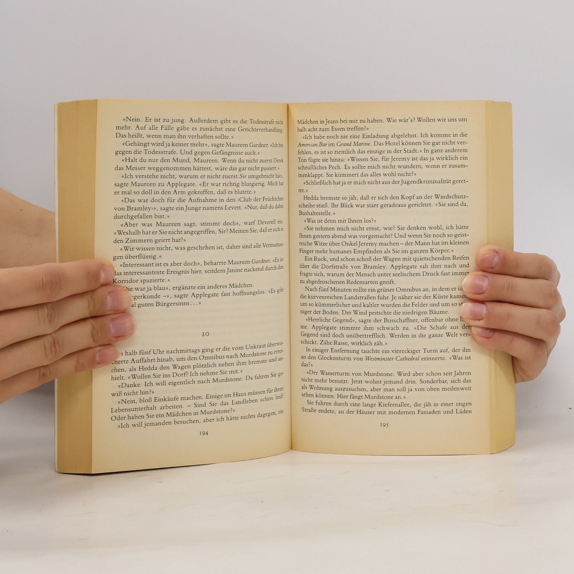 Pierre Boileau Das Geheimnis des gelben Geparden
