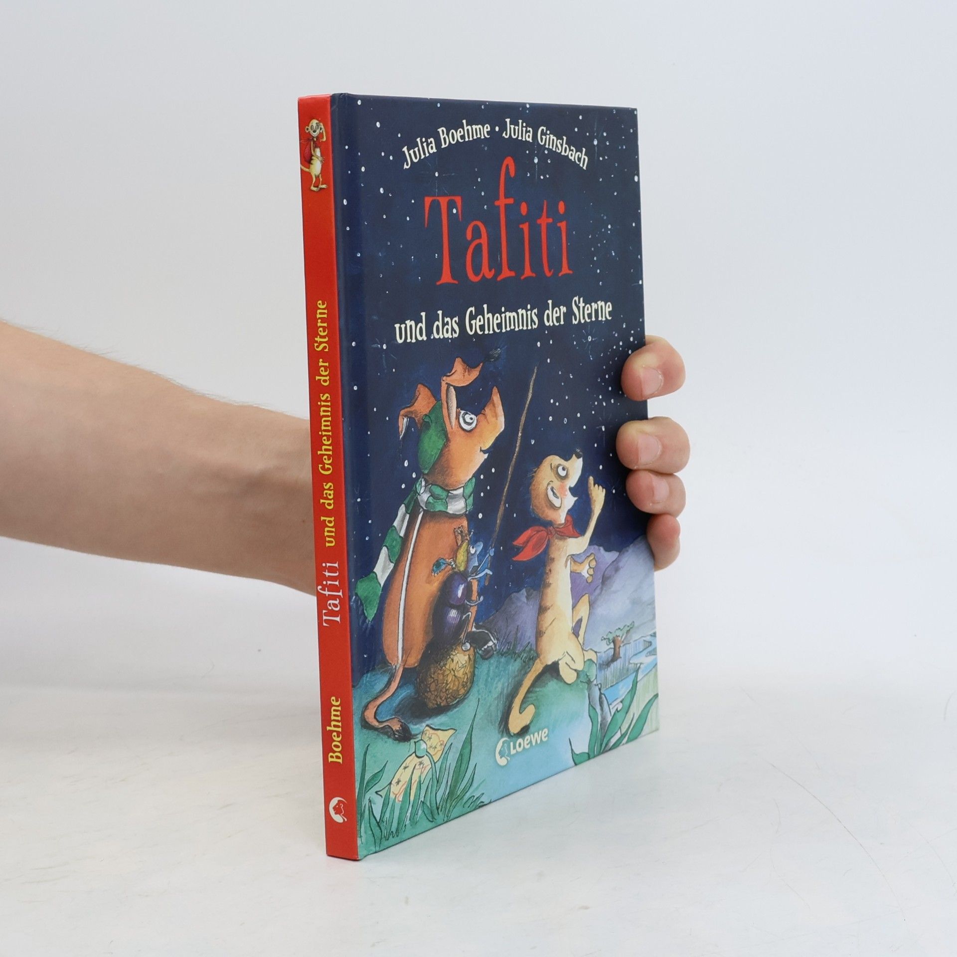 Julia Boehme Tafiti und das Geheimnis der Sterne