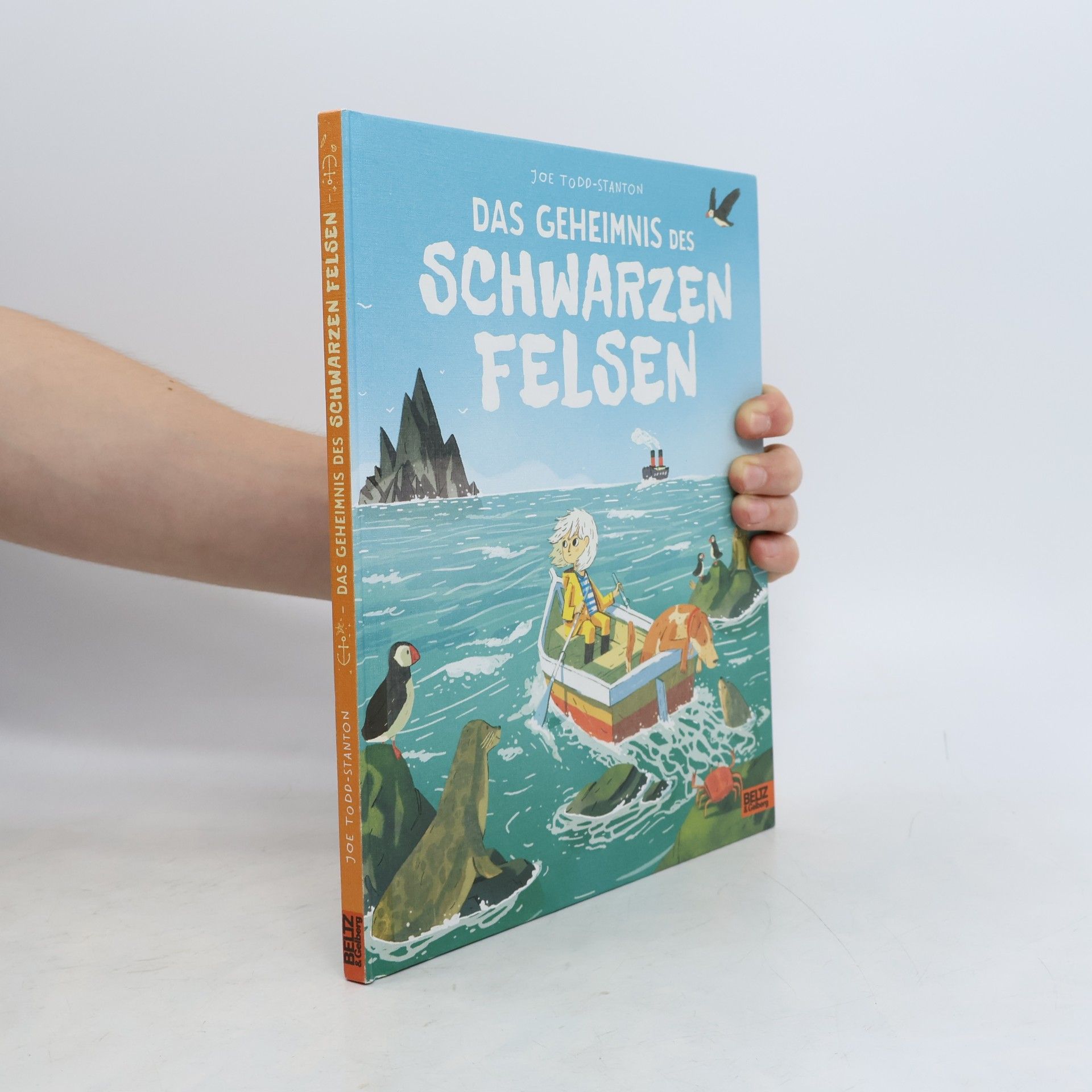 Joe Todd-Stanton Das Geheimnis des Schwarzen Felsen