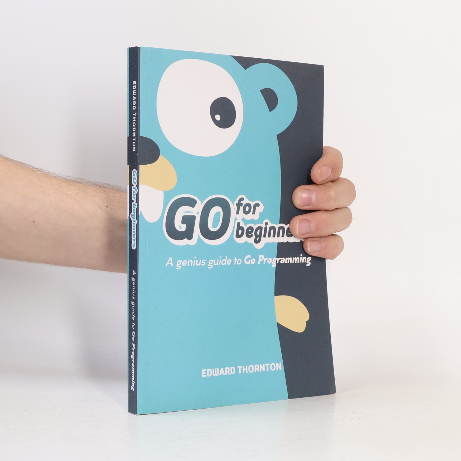 Edward Thornton Go For Beginners