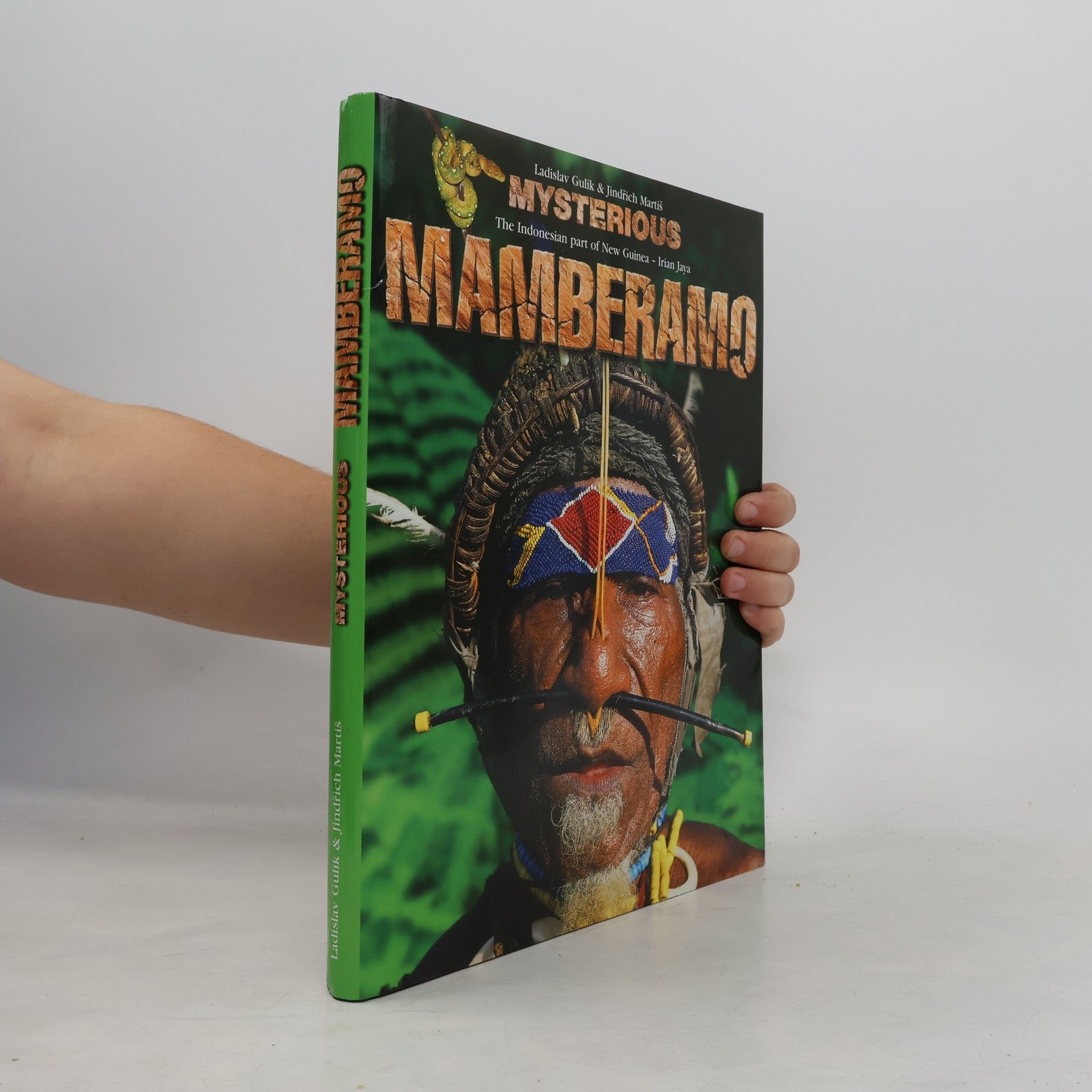 Mysterious Mamberamo