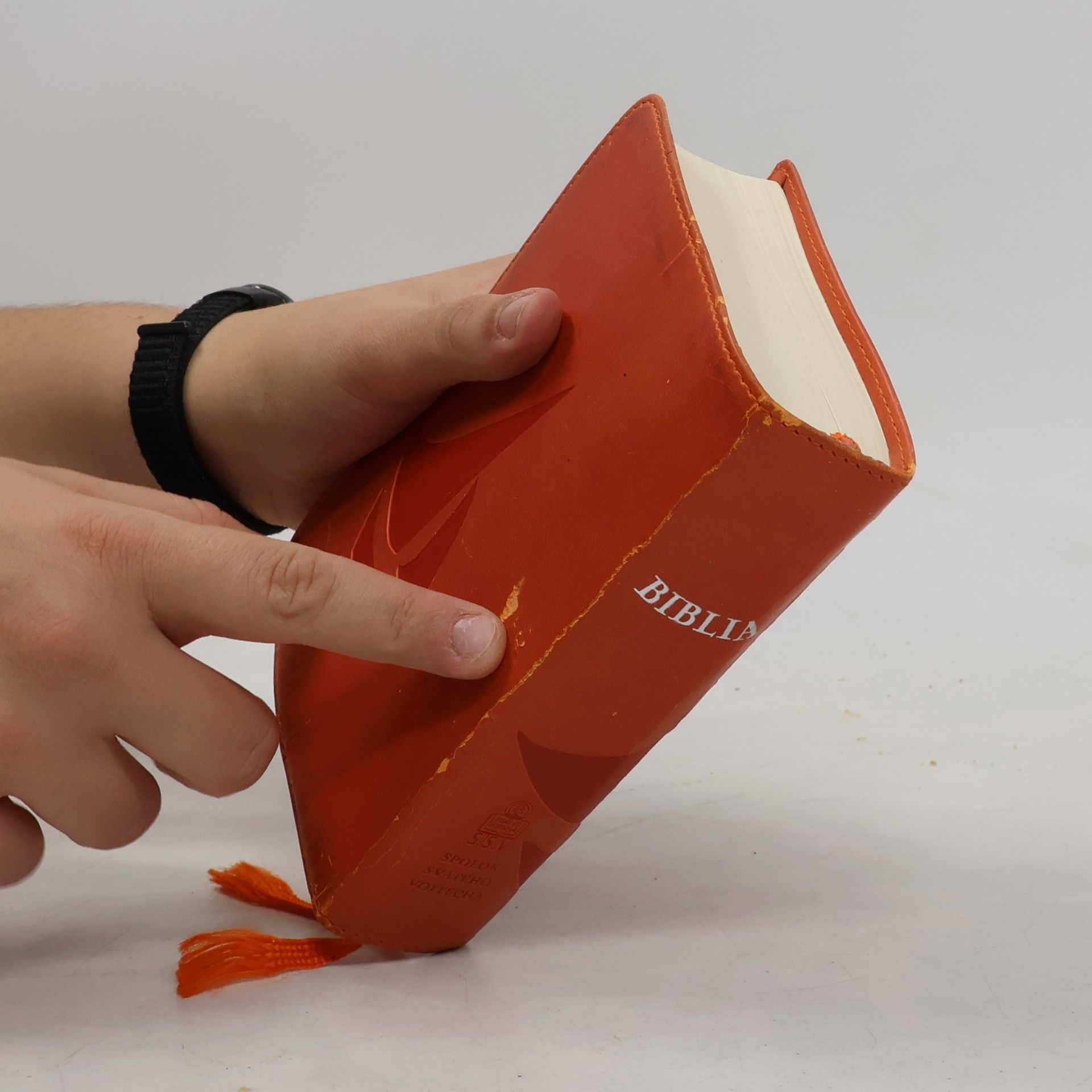 Autorenkollektiv Biblia