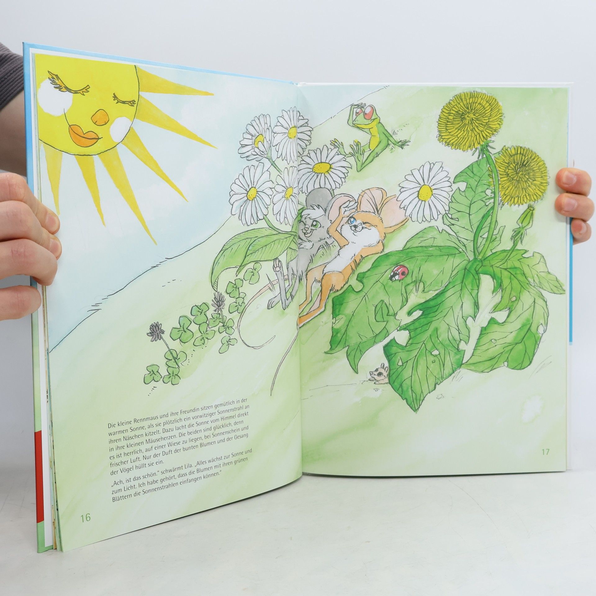 Karen Kassulat Die kleine Rennmaus und ihr Zauberhaus, m. Audio-CD