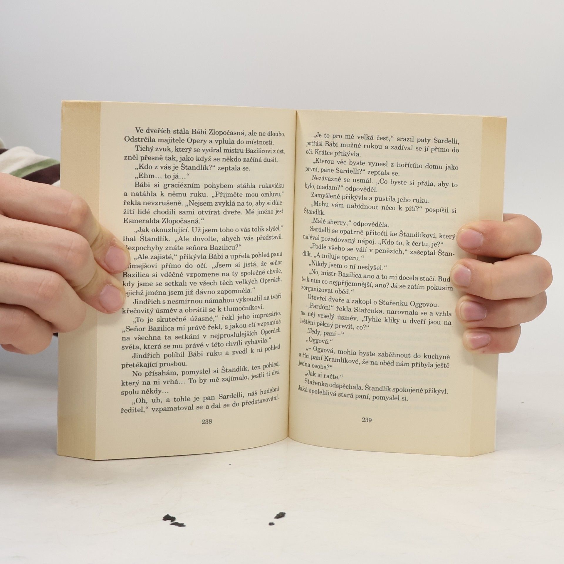 Terry Pratchett Maškaráda
