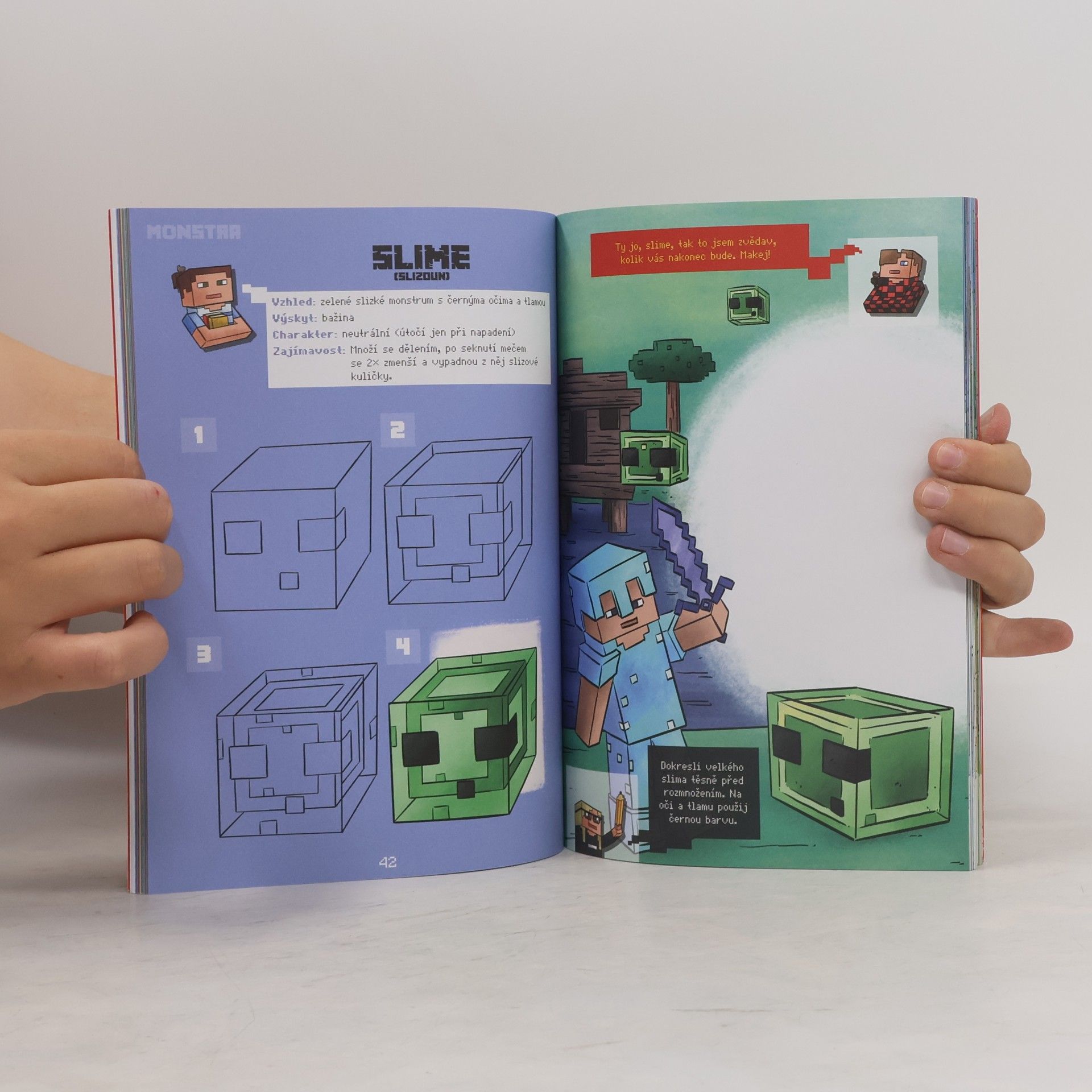Autorenkollektiv Kreslení pro minecrafťáky. Skiny, monstra a zvířata