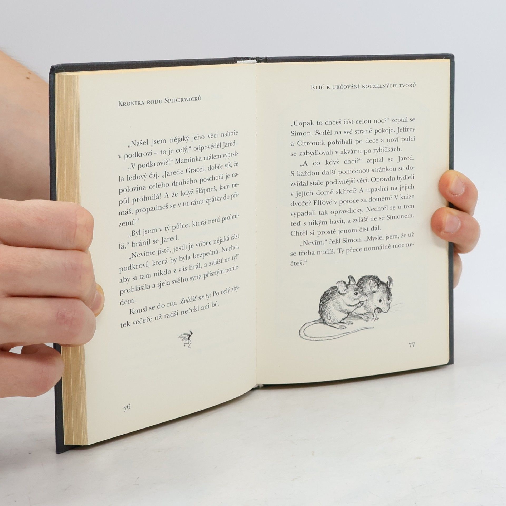 Tony DiTerlizzi Kronika rodu Spiderwicků 1