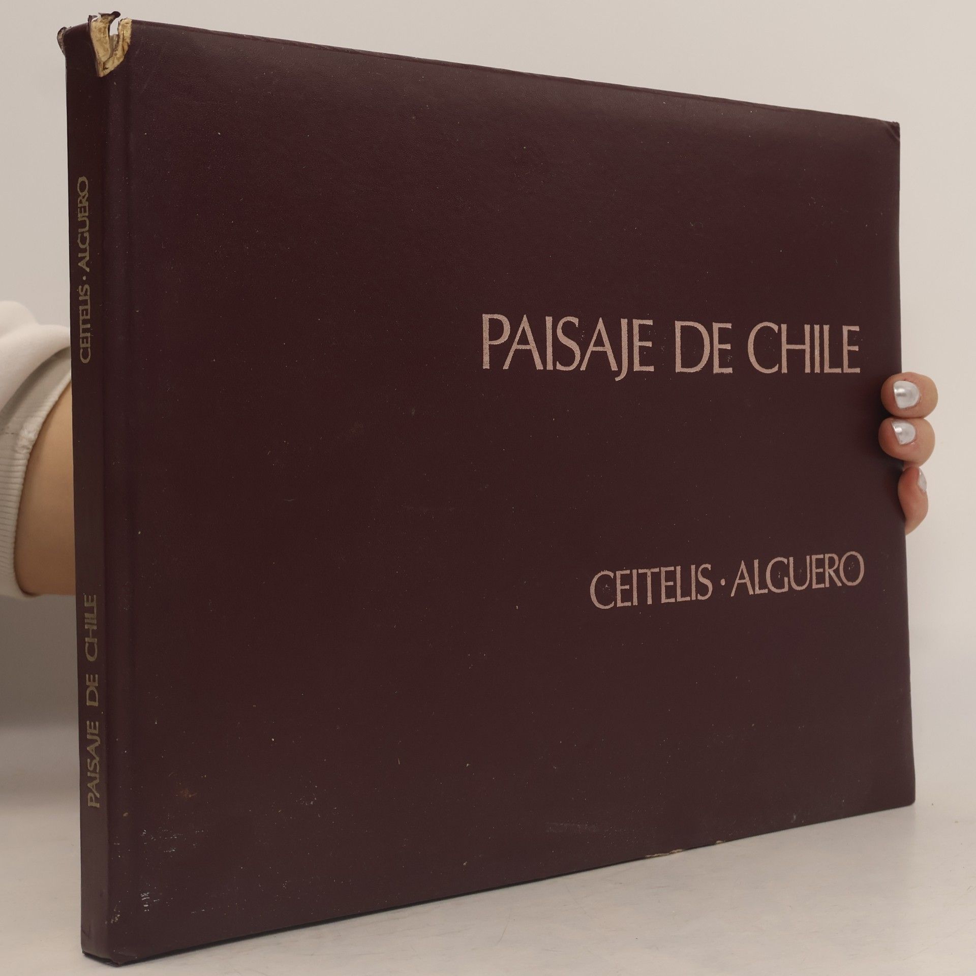 Autorenkollektiv Paisaje de Chile