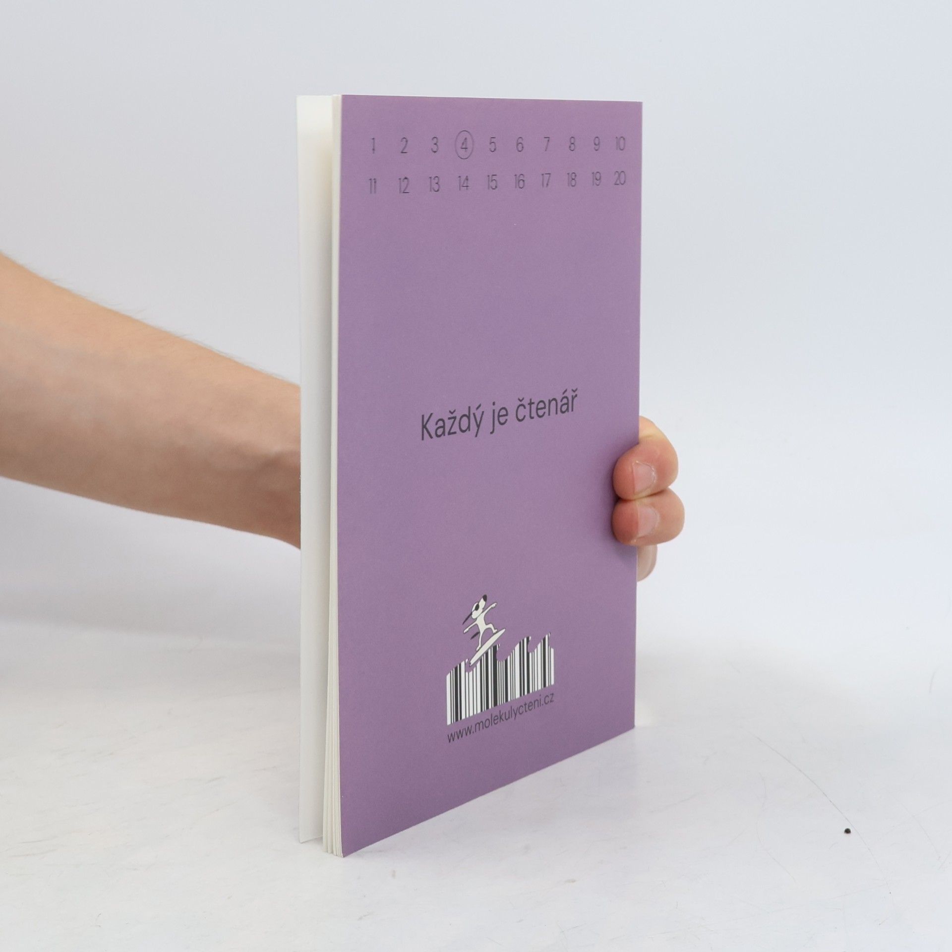 Katie Perkins Koblihy 4