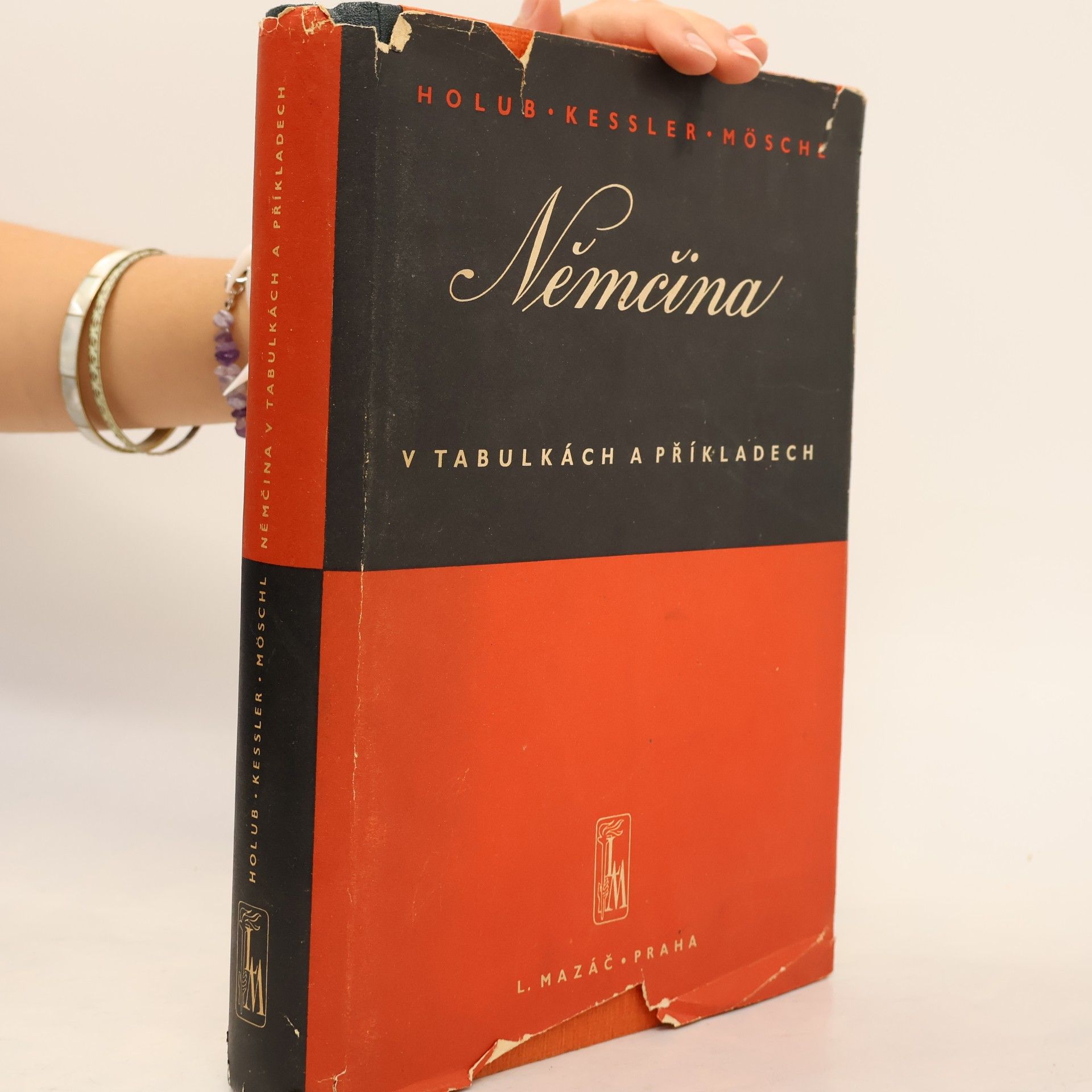 Various authors Němčina v tabulkách a příkladech