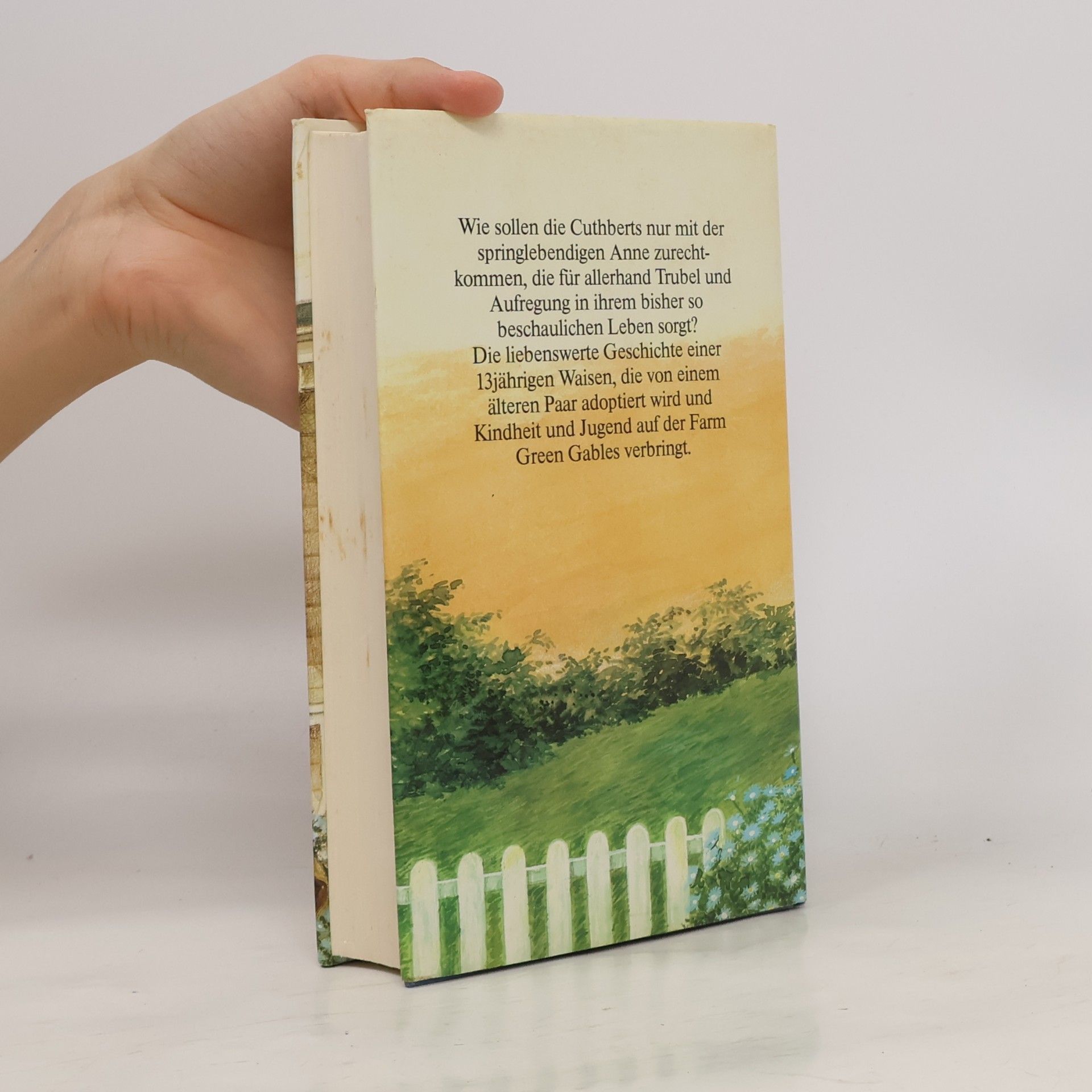 Lucy Maud Montgomery Anne auf Green Gables