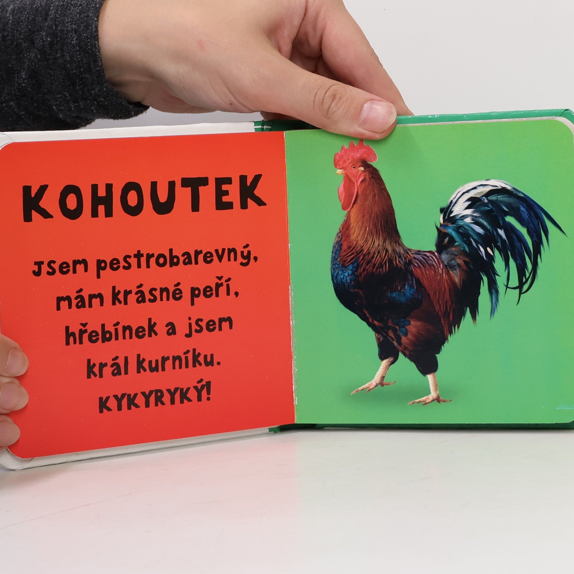 Autorenkollektiv Moje první slůvka Zvířátka na statku
