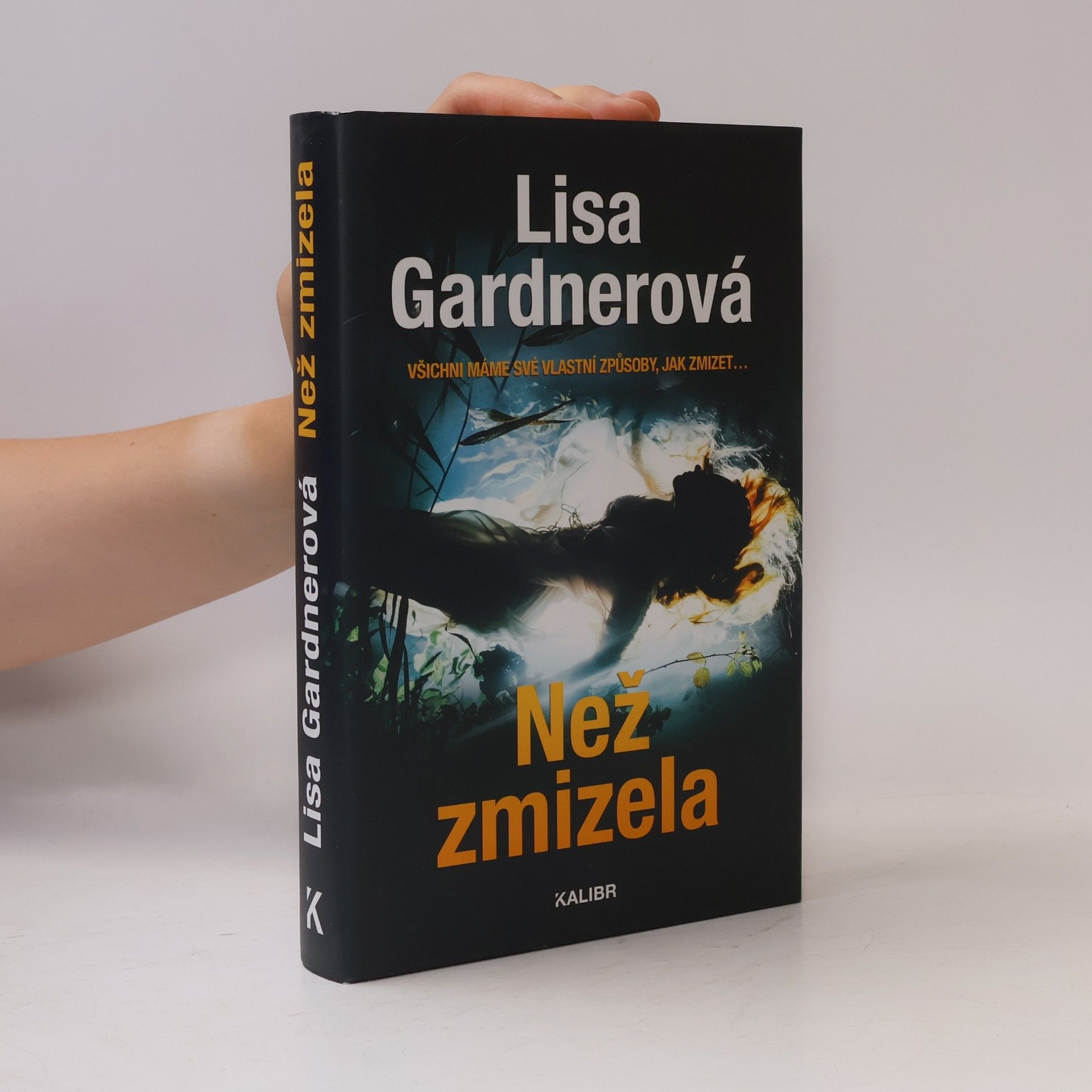 Než zmizela