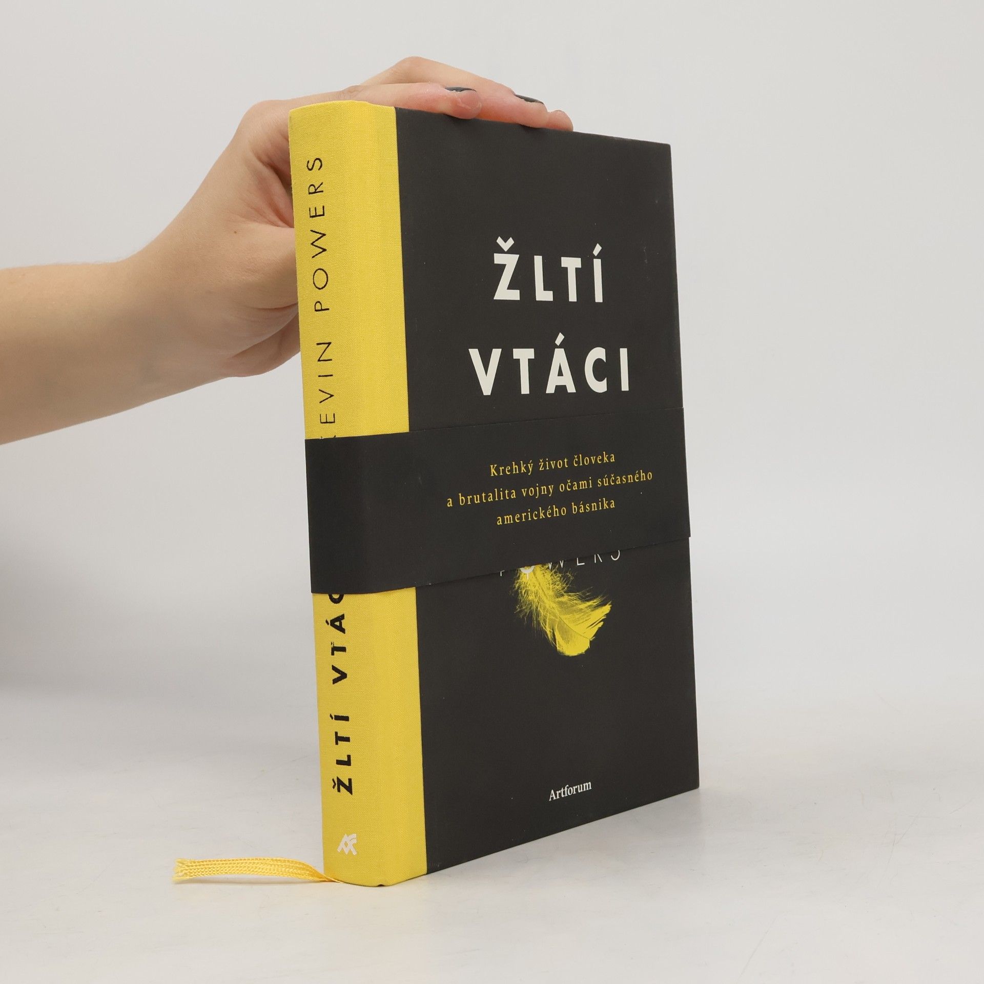 Kevin Powers Žltí vtáci