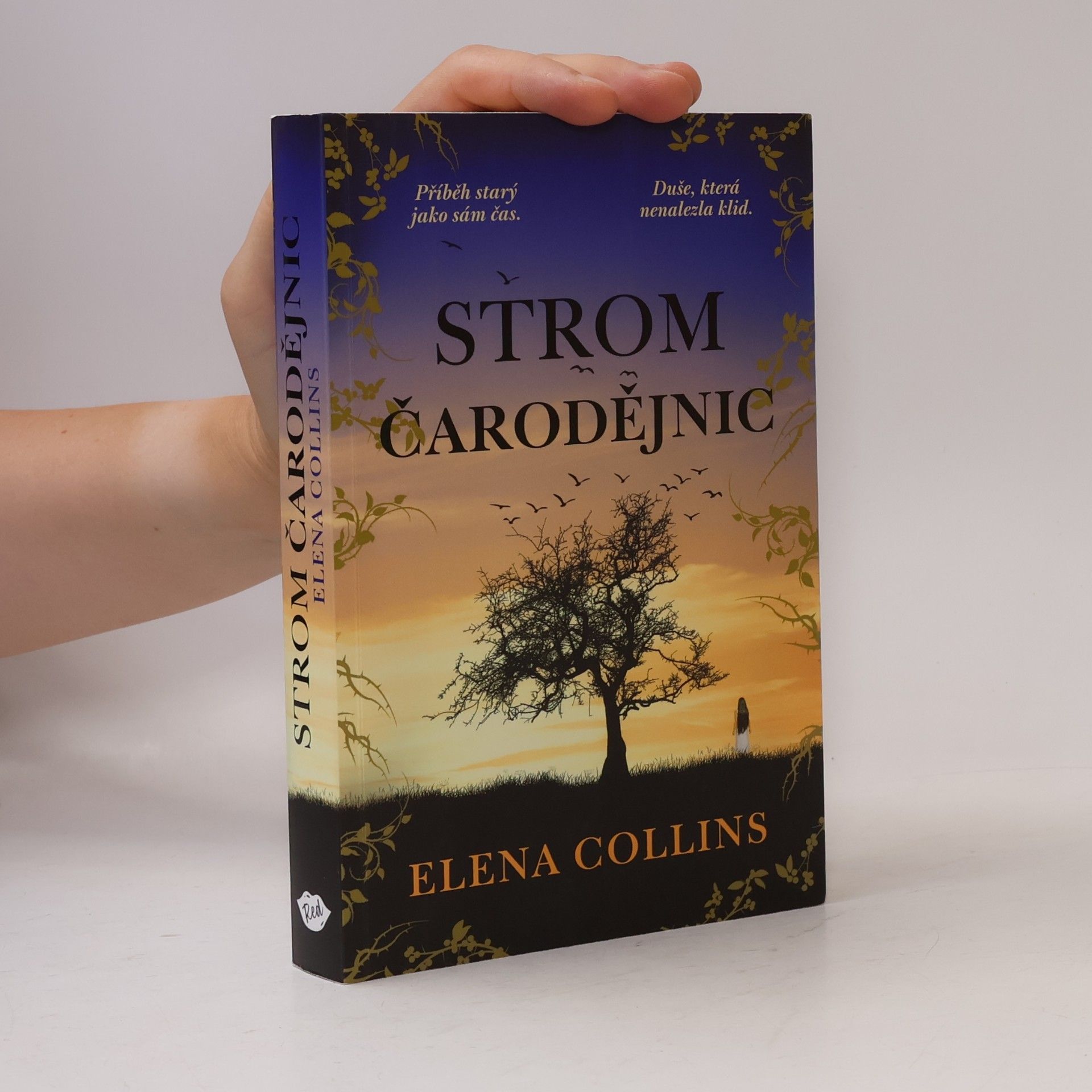 Judy Leigh Strom čarodějnic