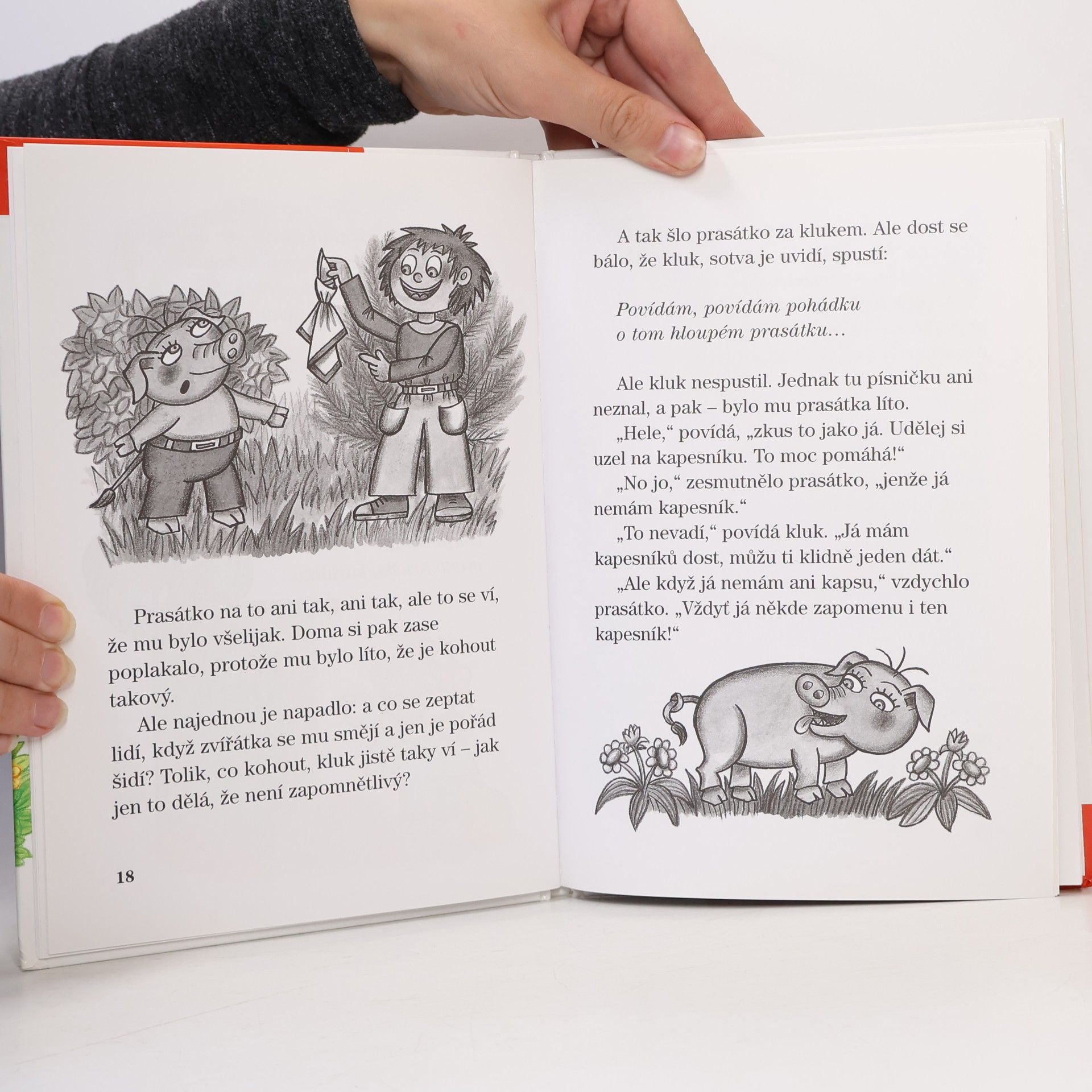 Ljuba Štíplová Neplechaté pohádky