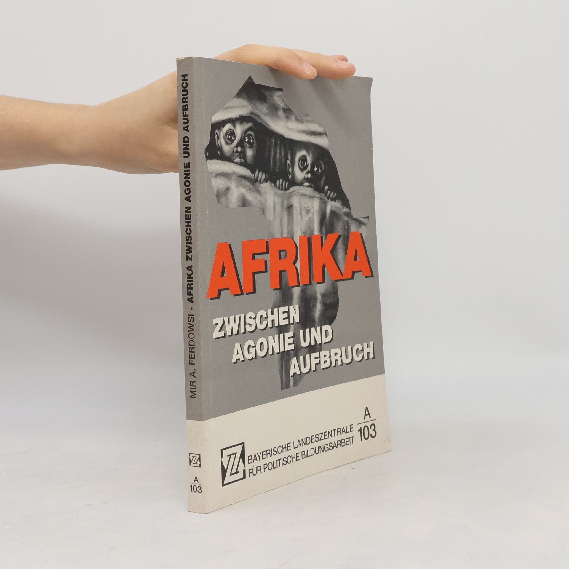 kolektiv Afrika. Zwischen Agonie und Aufbruch