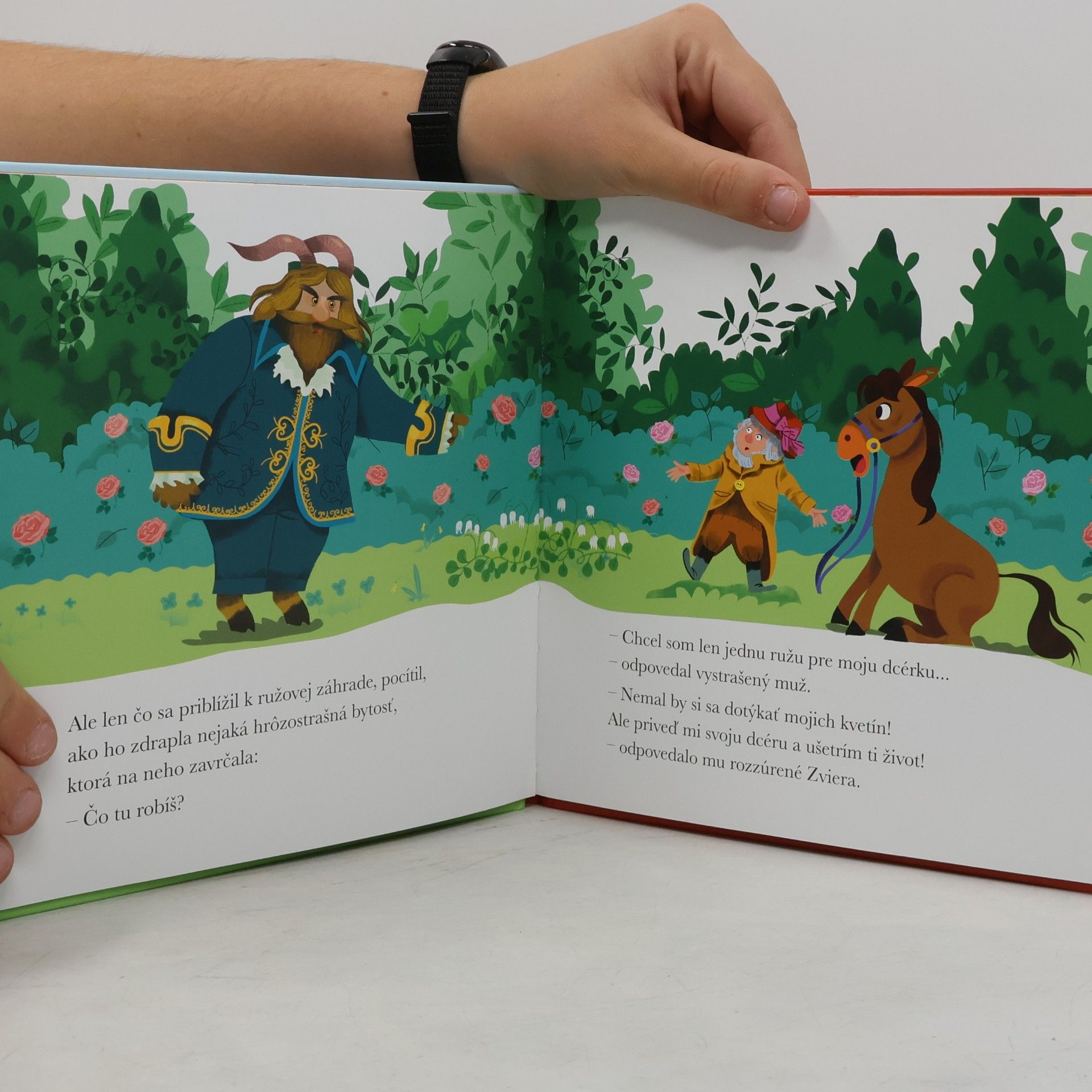 Various authors Klasické rozprávky. Kráska a zviera