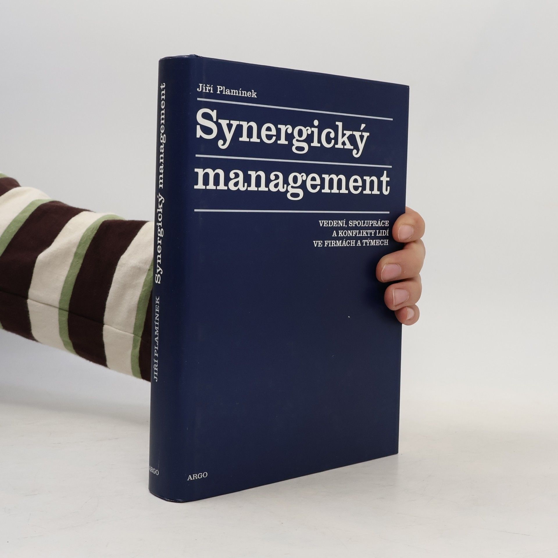 Jiří Plamínek Synergický management