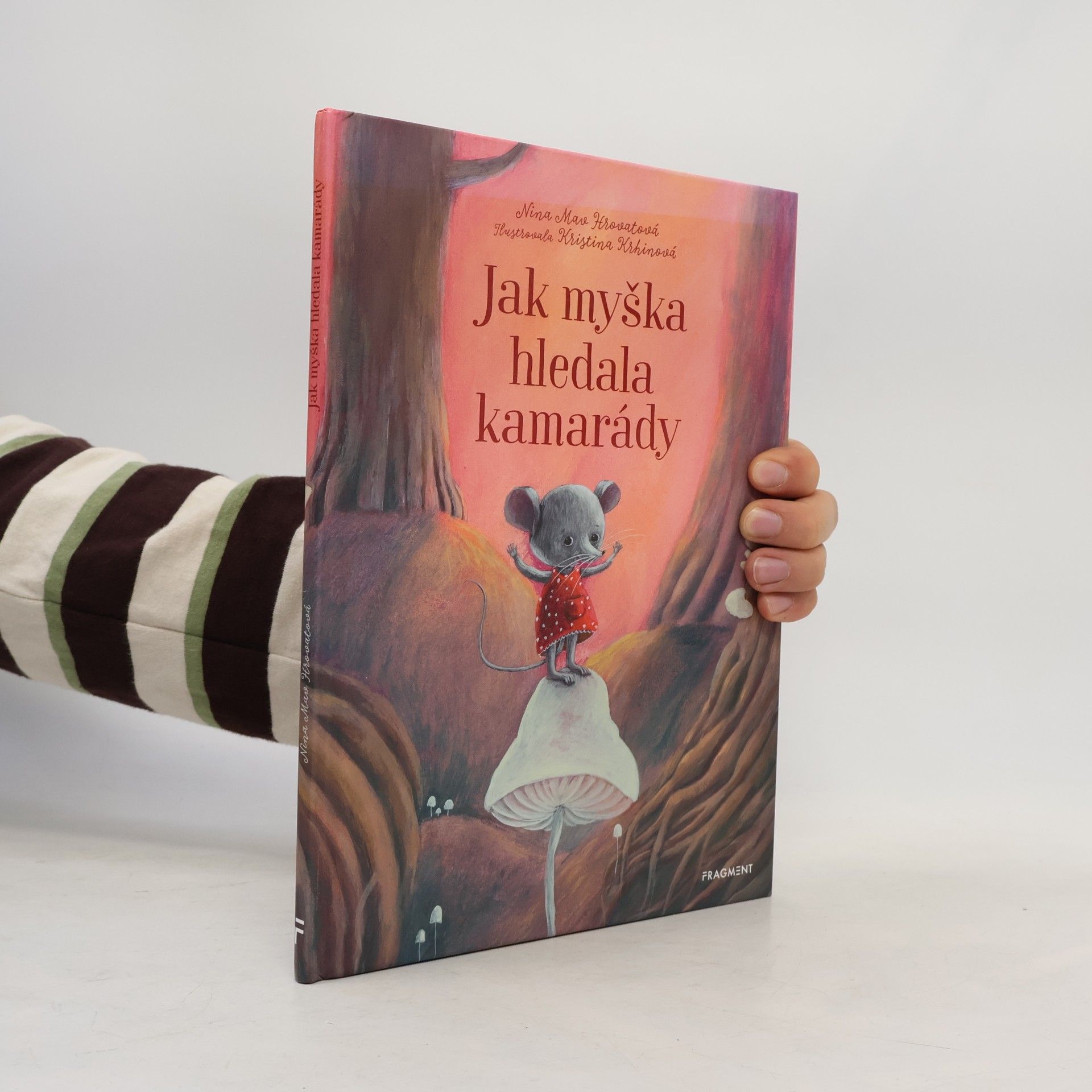Jak myška hledala kamarády