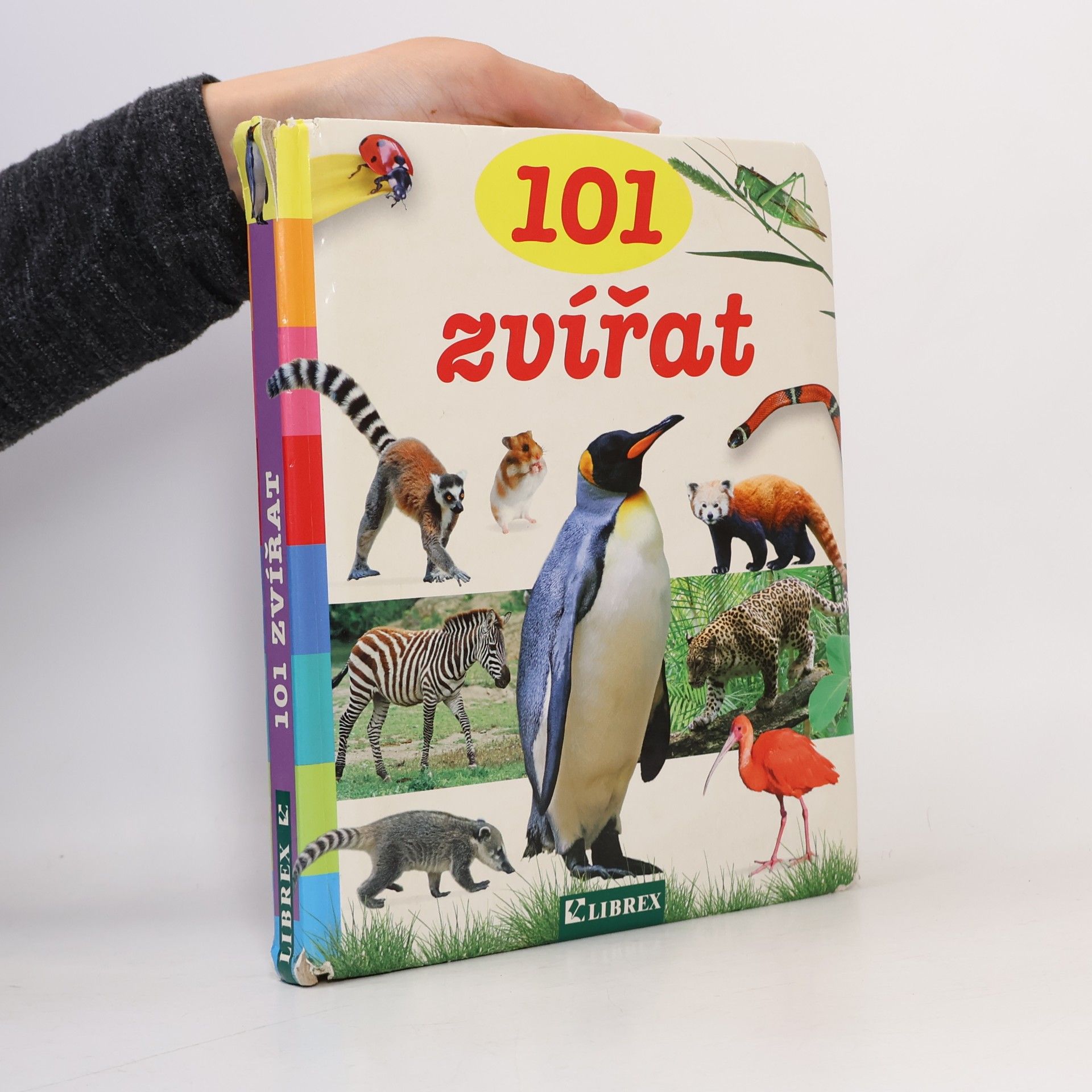 Kolektív autorov 101 zvířat