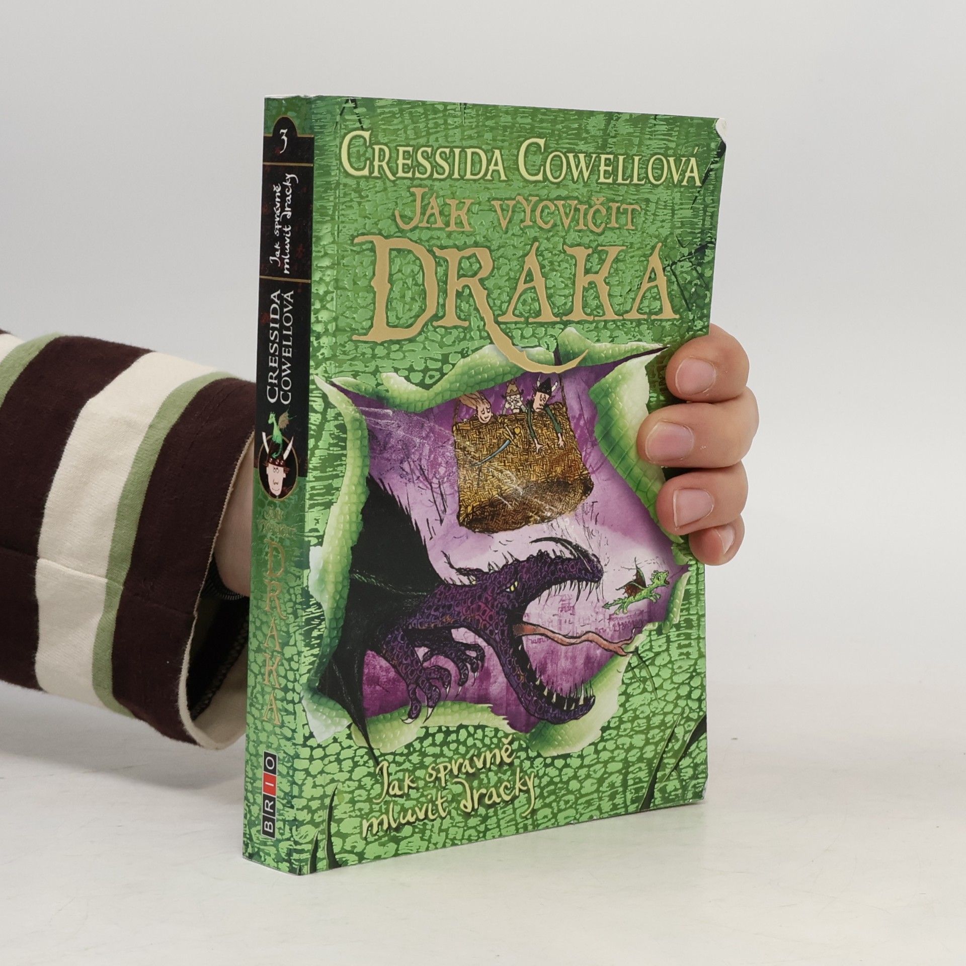 Cressida Cowell Jak správně mluvit dracky