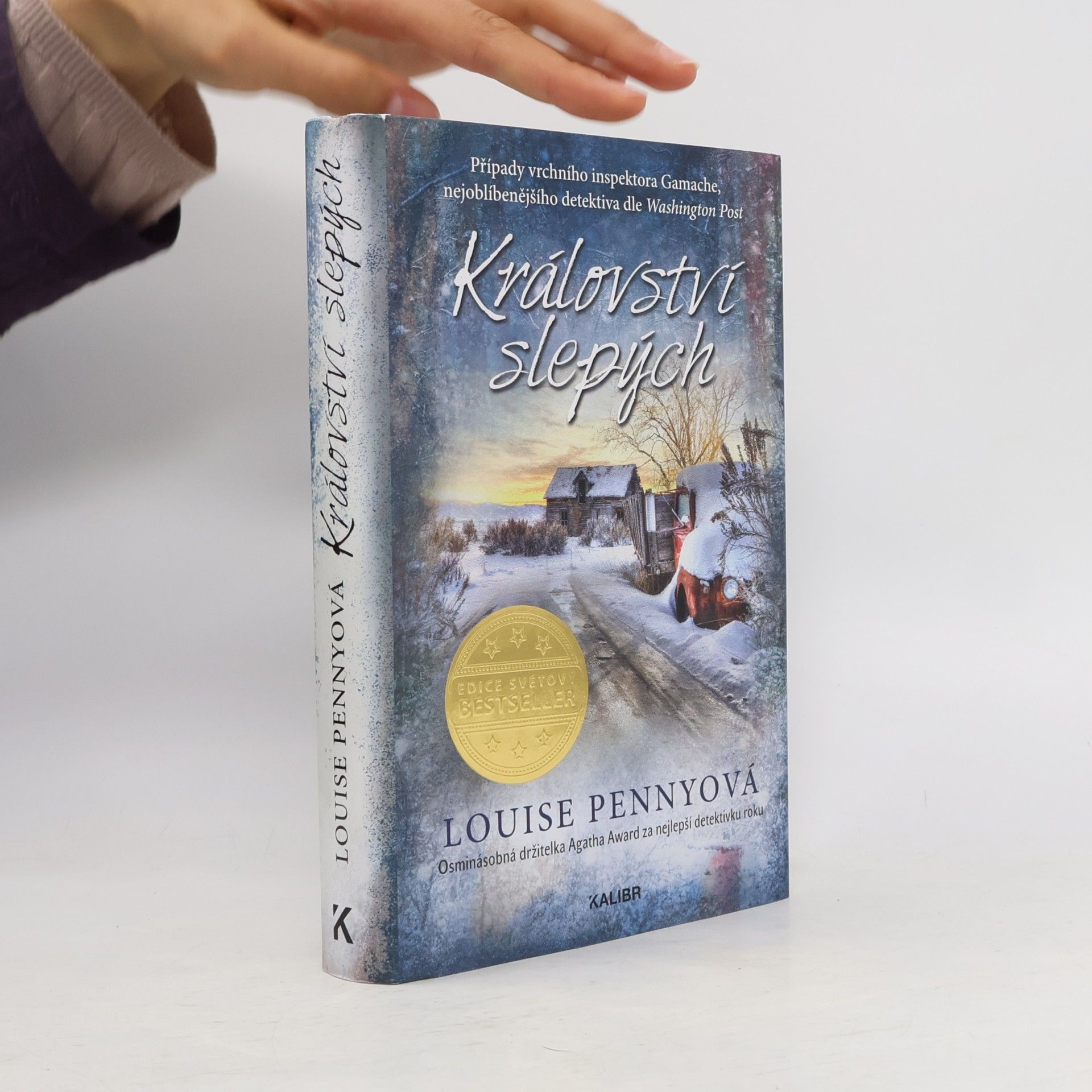 Louise Penny Království slepých