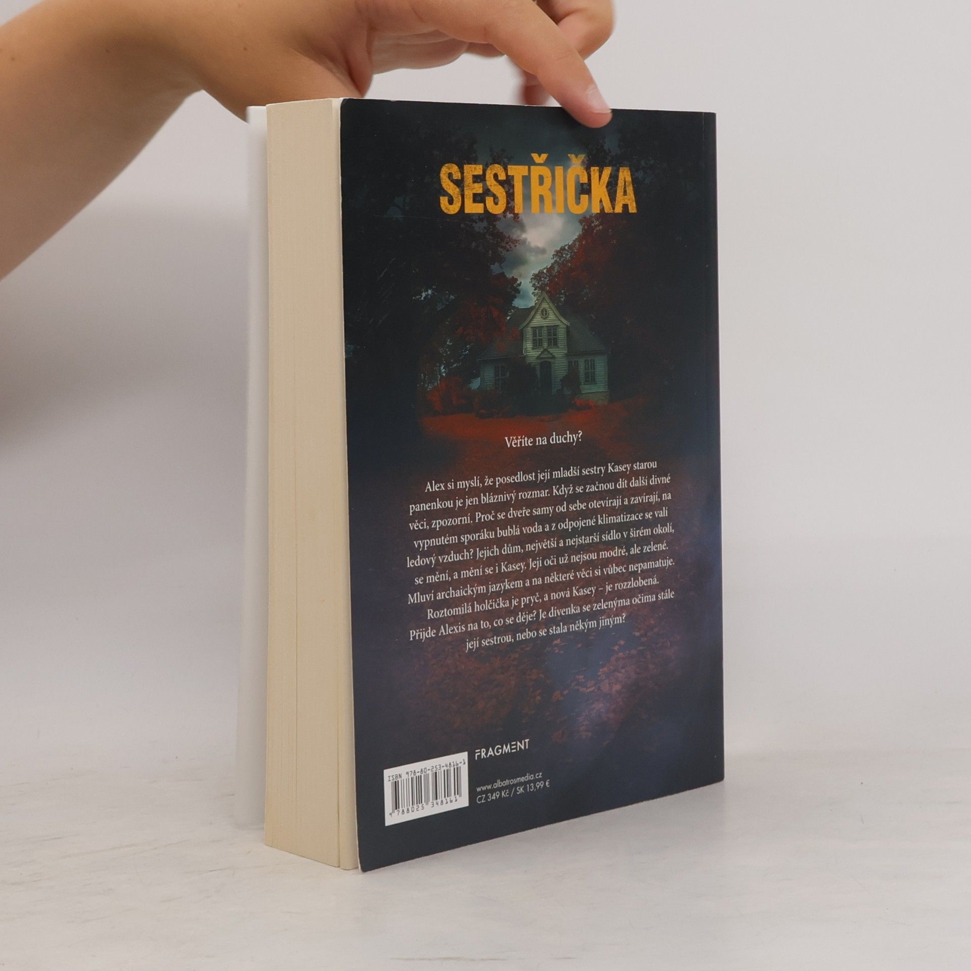 Katie Alender Sestřička