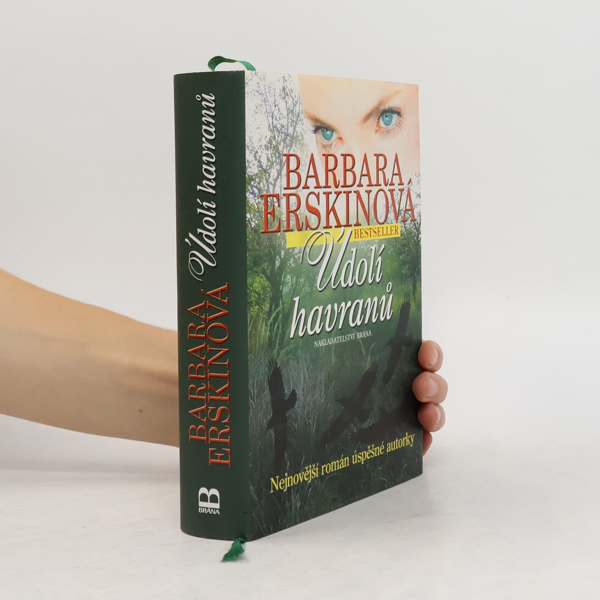 Barbara Erskine Údolí havranů