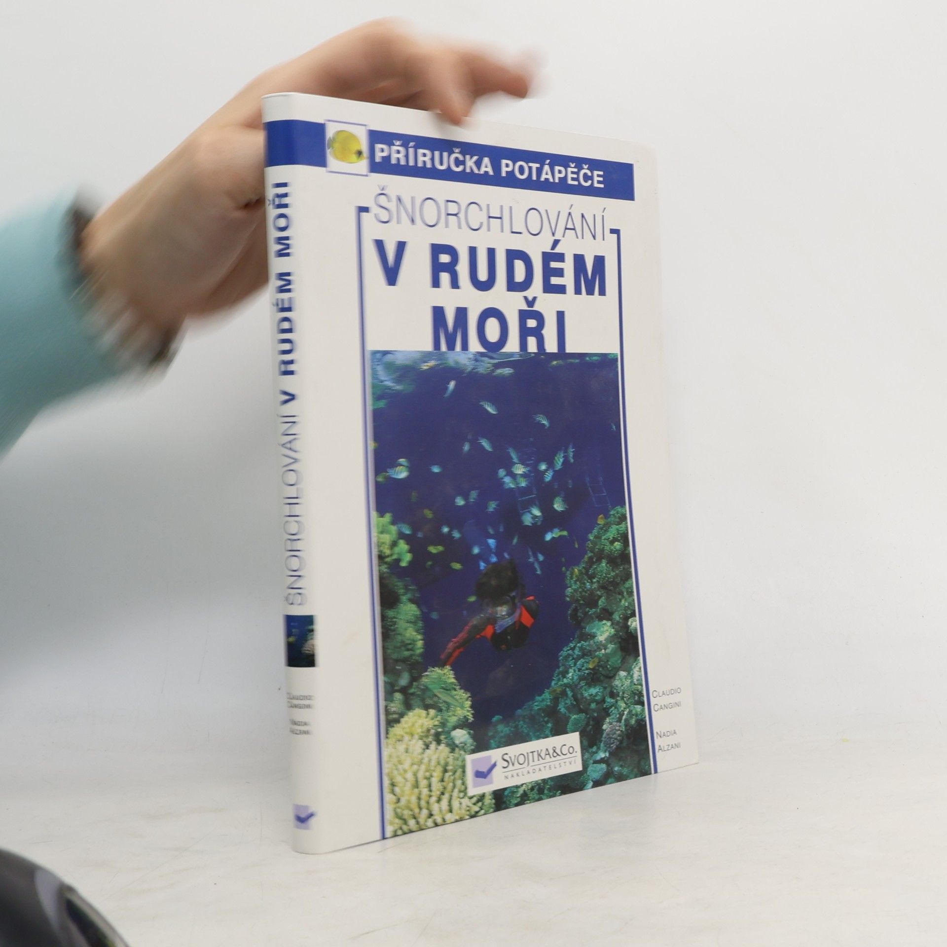 Šnorchlování v Rudém moři
