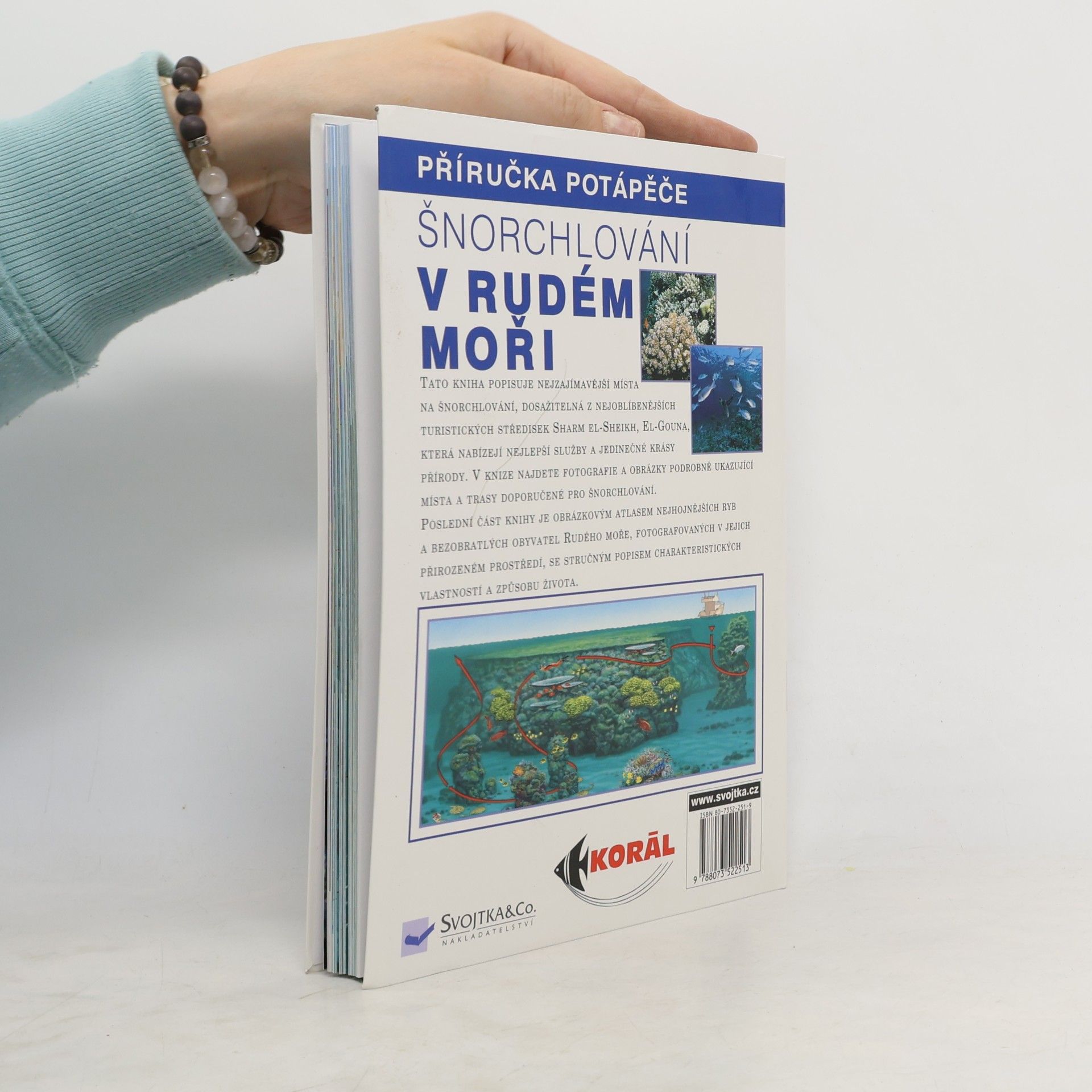 Claudio Cangini Šnorchlování v Rudém moři