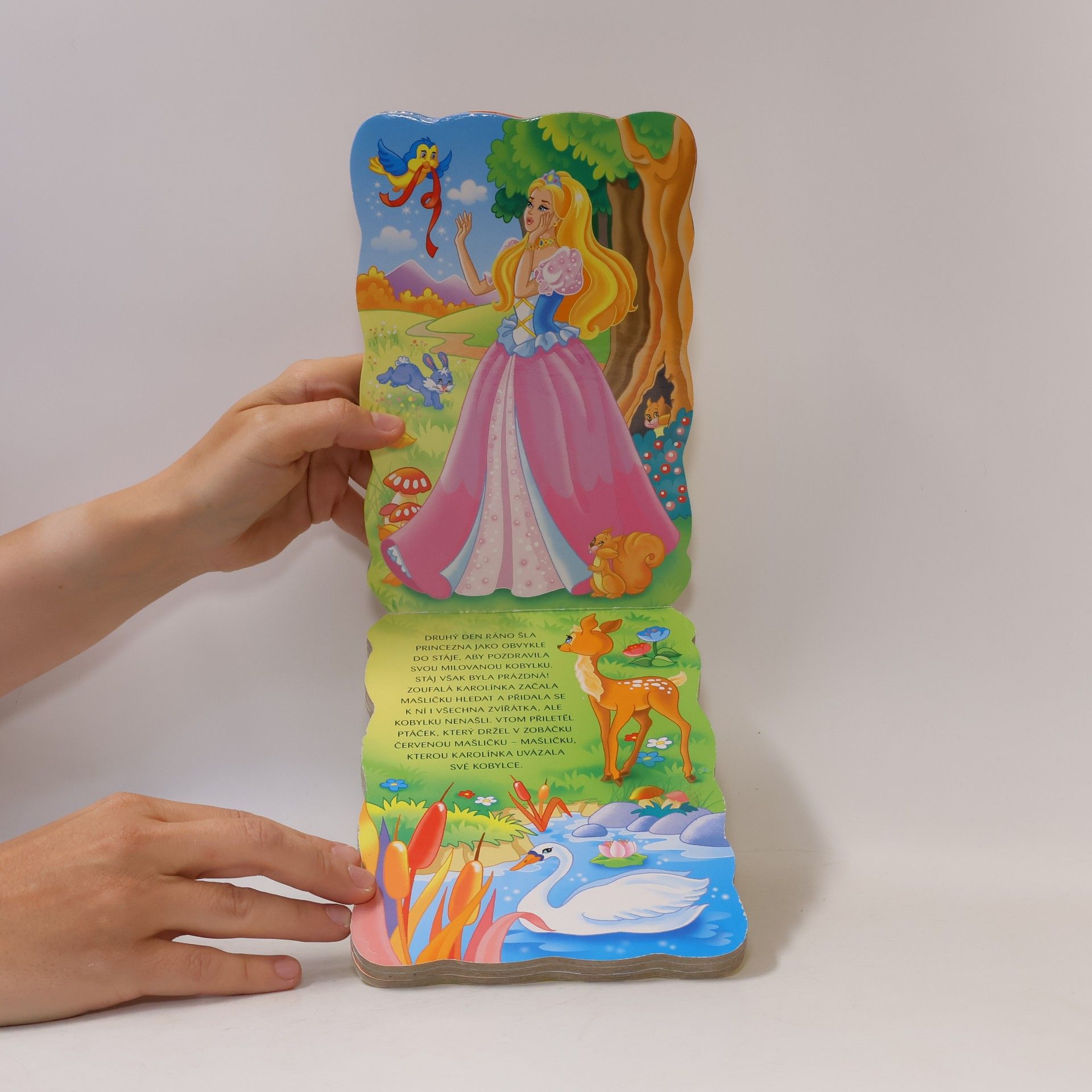 Autorenkollektiv Princezna: Vítej v kouzelném světě princezen!