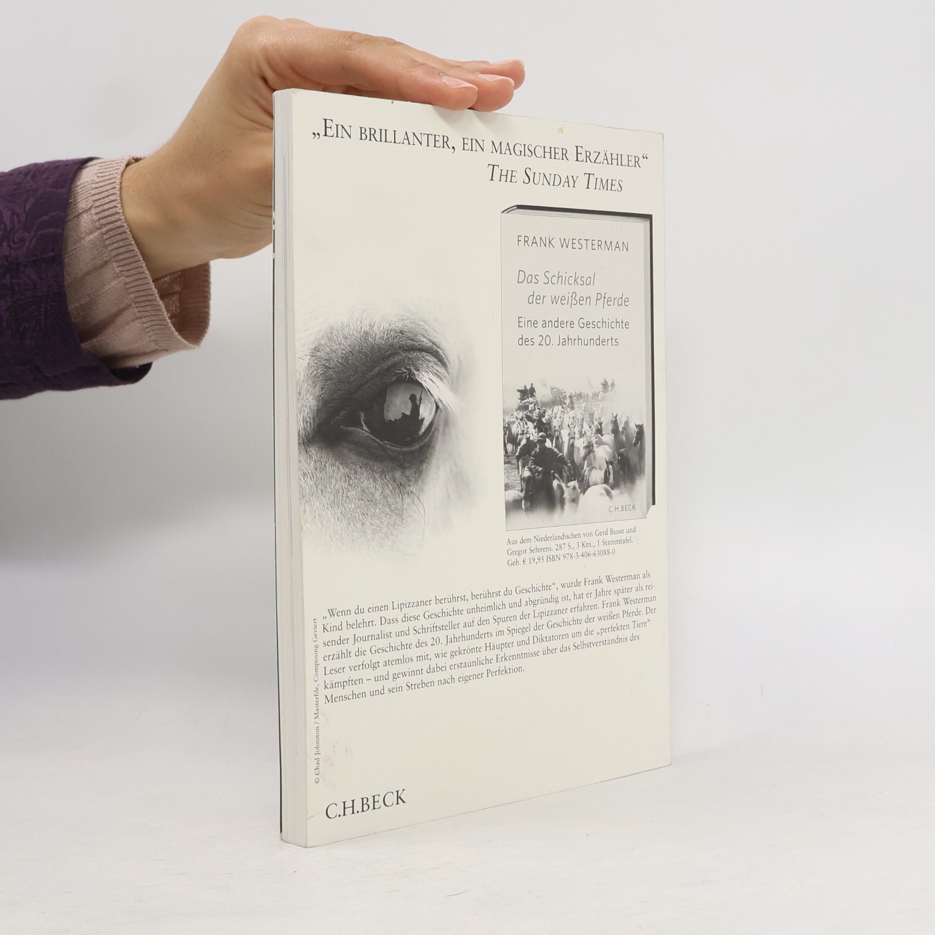 Zeitschrift für Ideengeschichte Heft VI/1 Frühjahr 2012: Der Besiegte