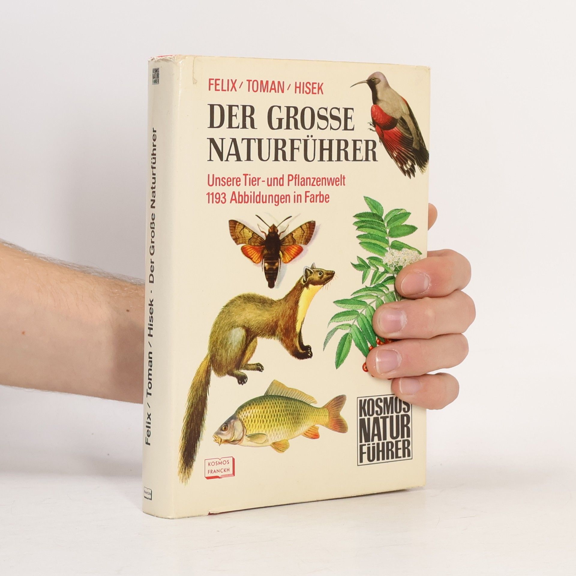 Der grosse Naturführer