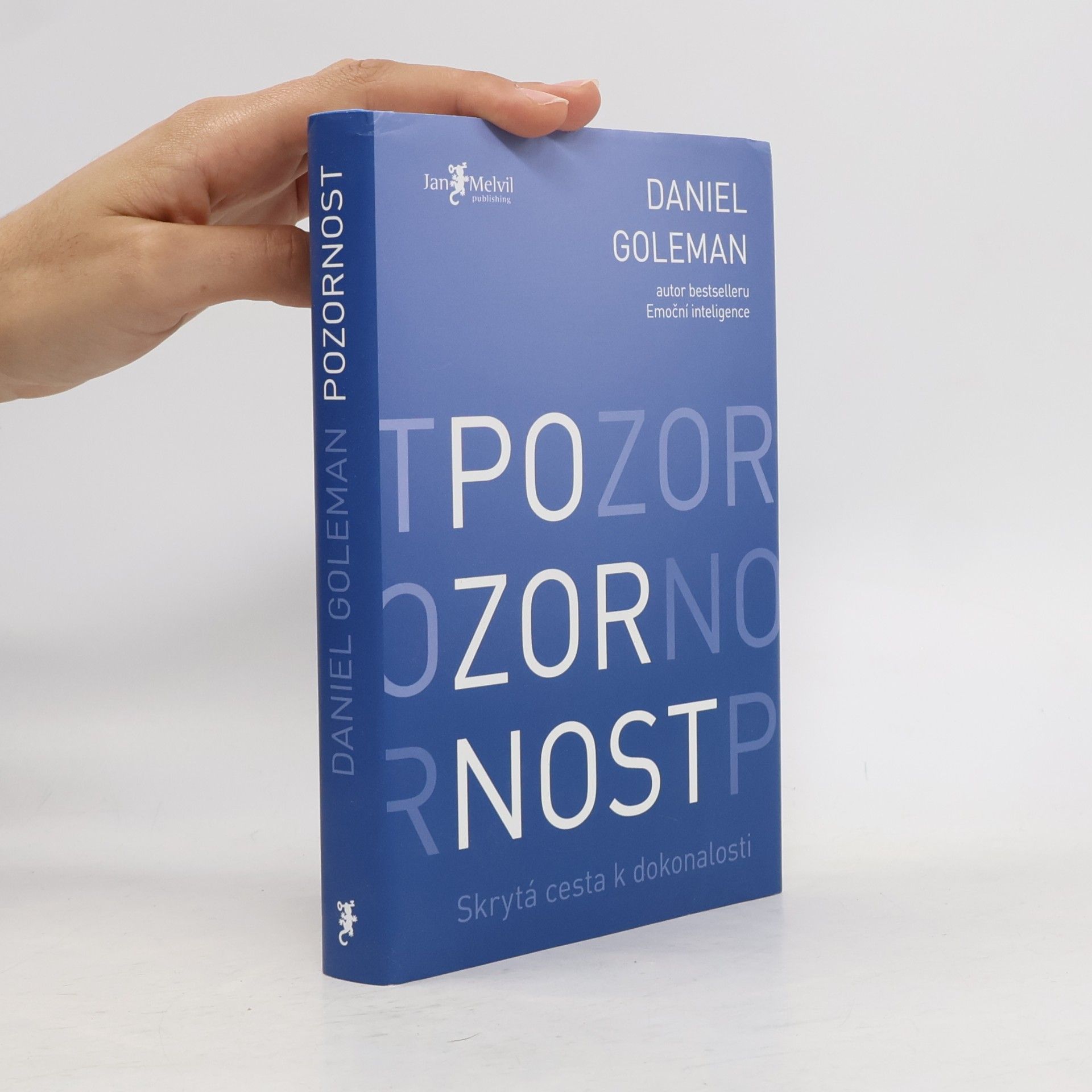 Daniel Goleman Pozornost. Skrytá cesta k dokonalosti