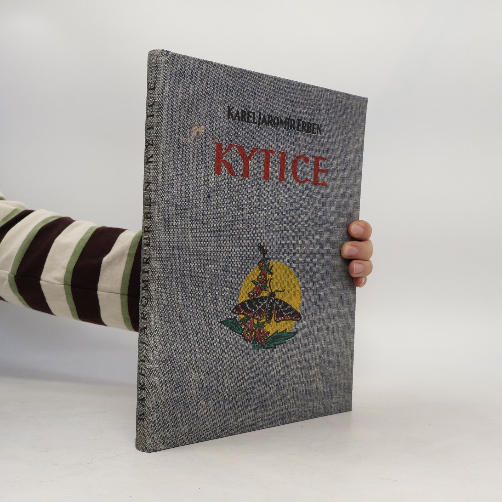 Fr. Vrobel Kytice