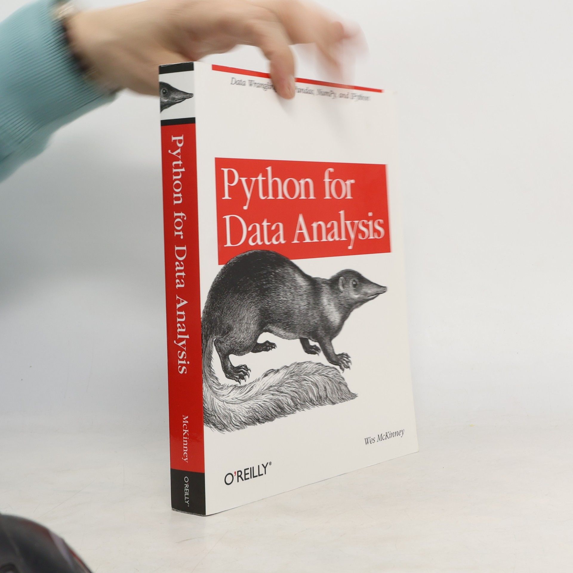 Wes McKinney Python for data analysis