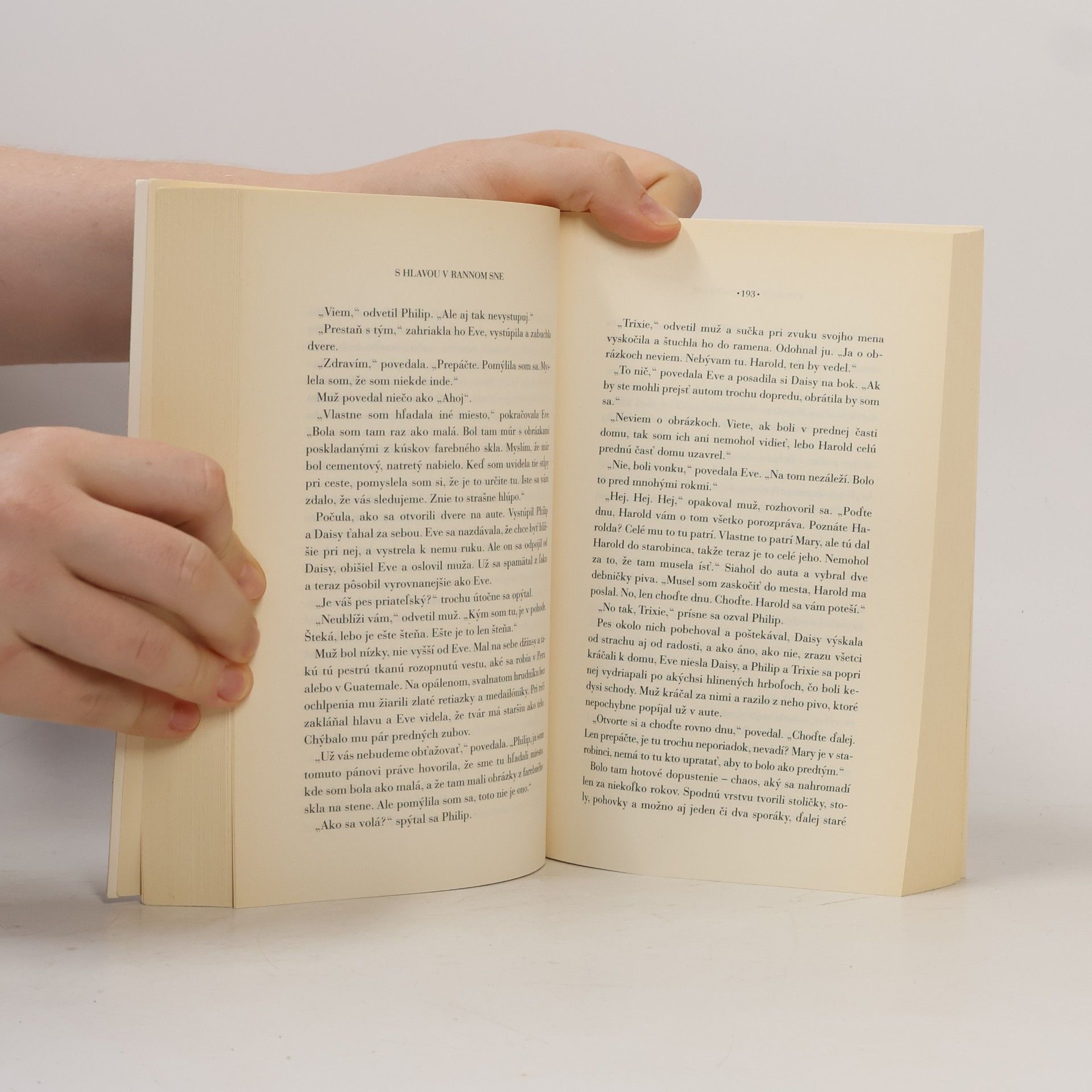 Alice Munro Láska dobrej ženy