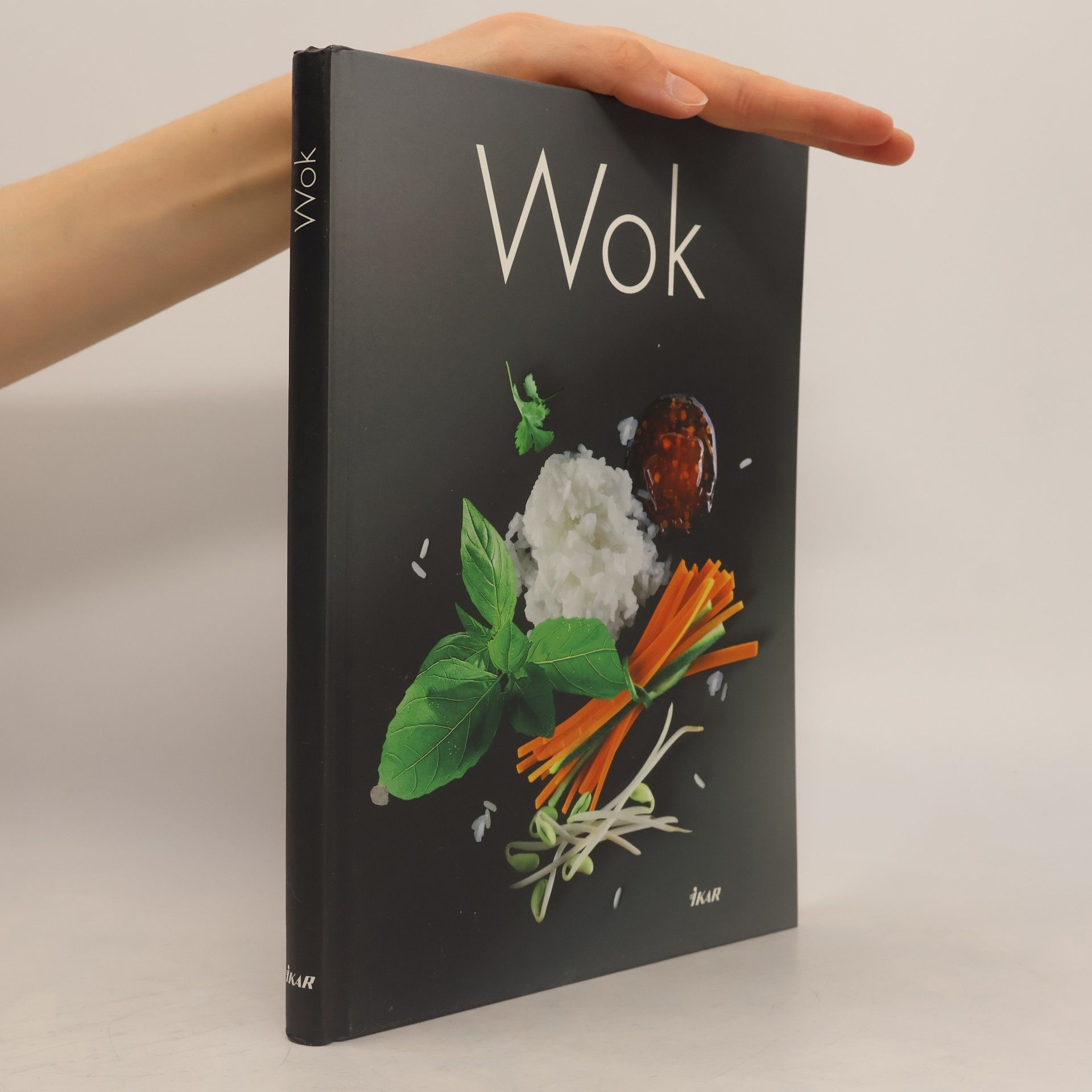 kolektiv Wok