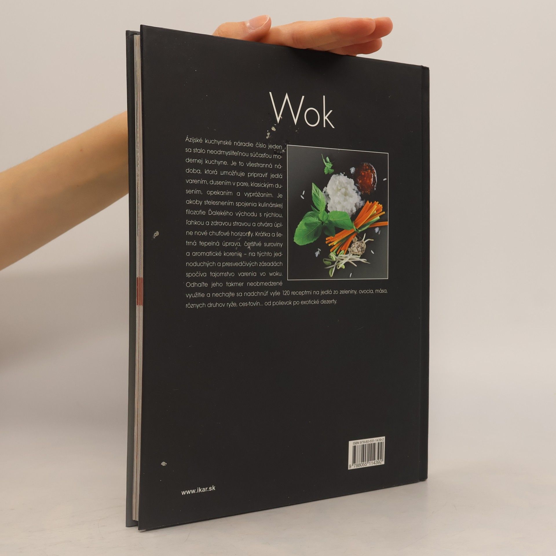 Kolektiv autorů Wok