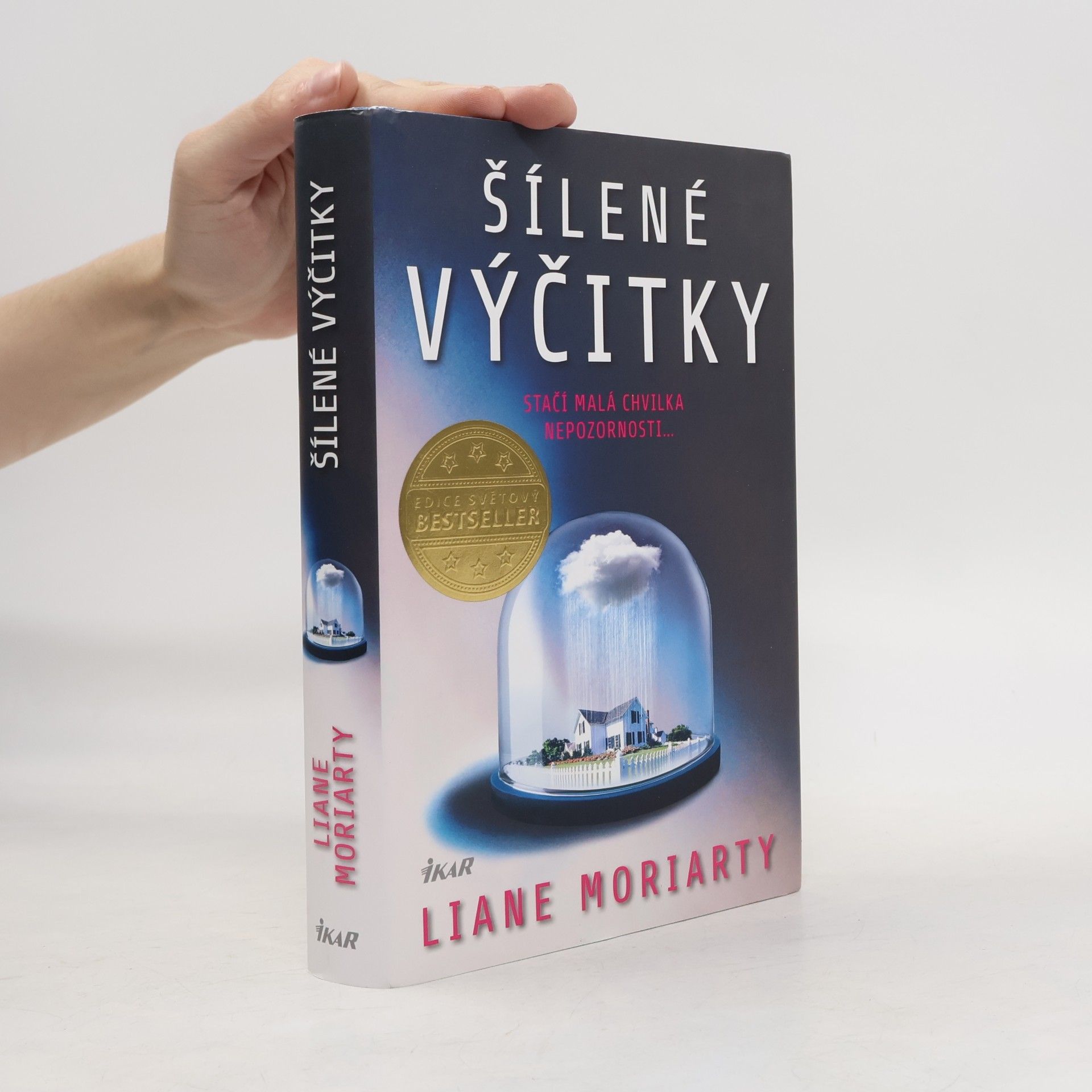 Liane Moriarty Šílené výčitky