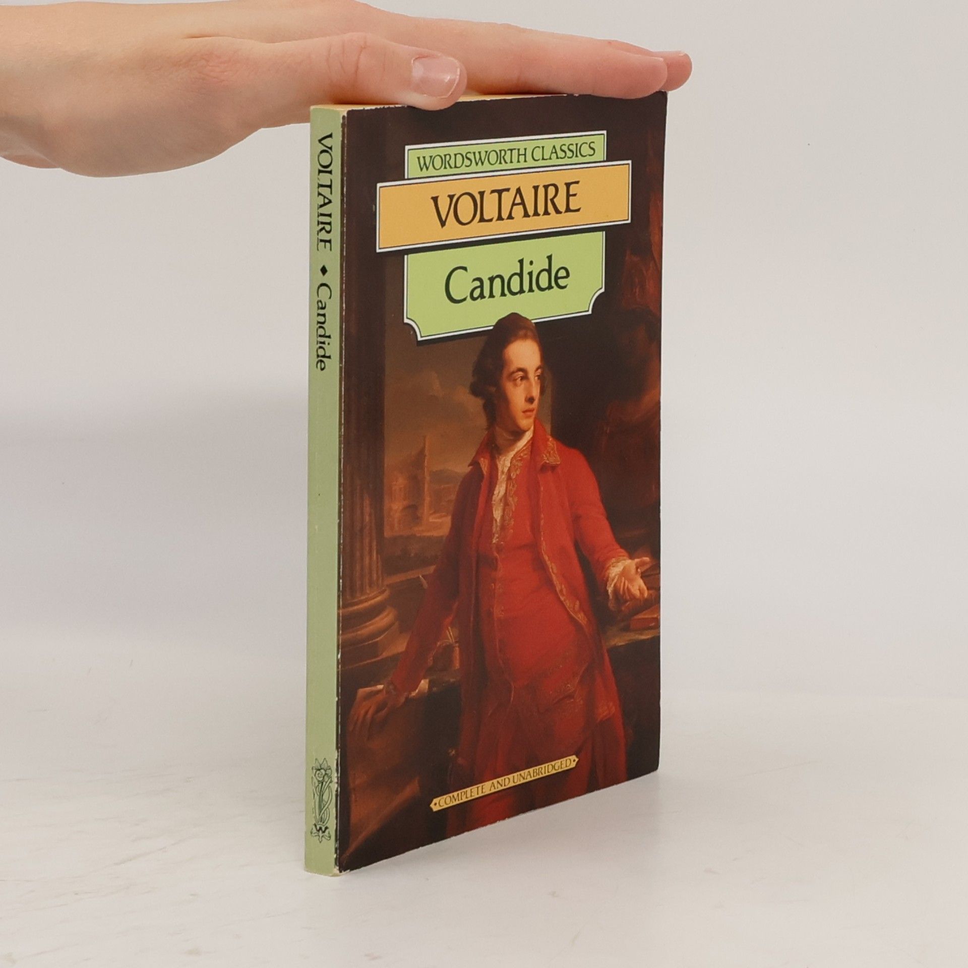 Voltaire Candide or optimism