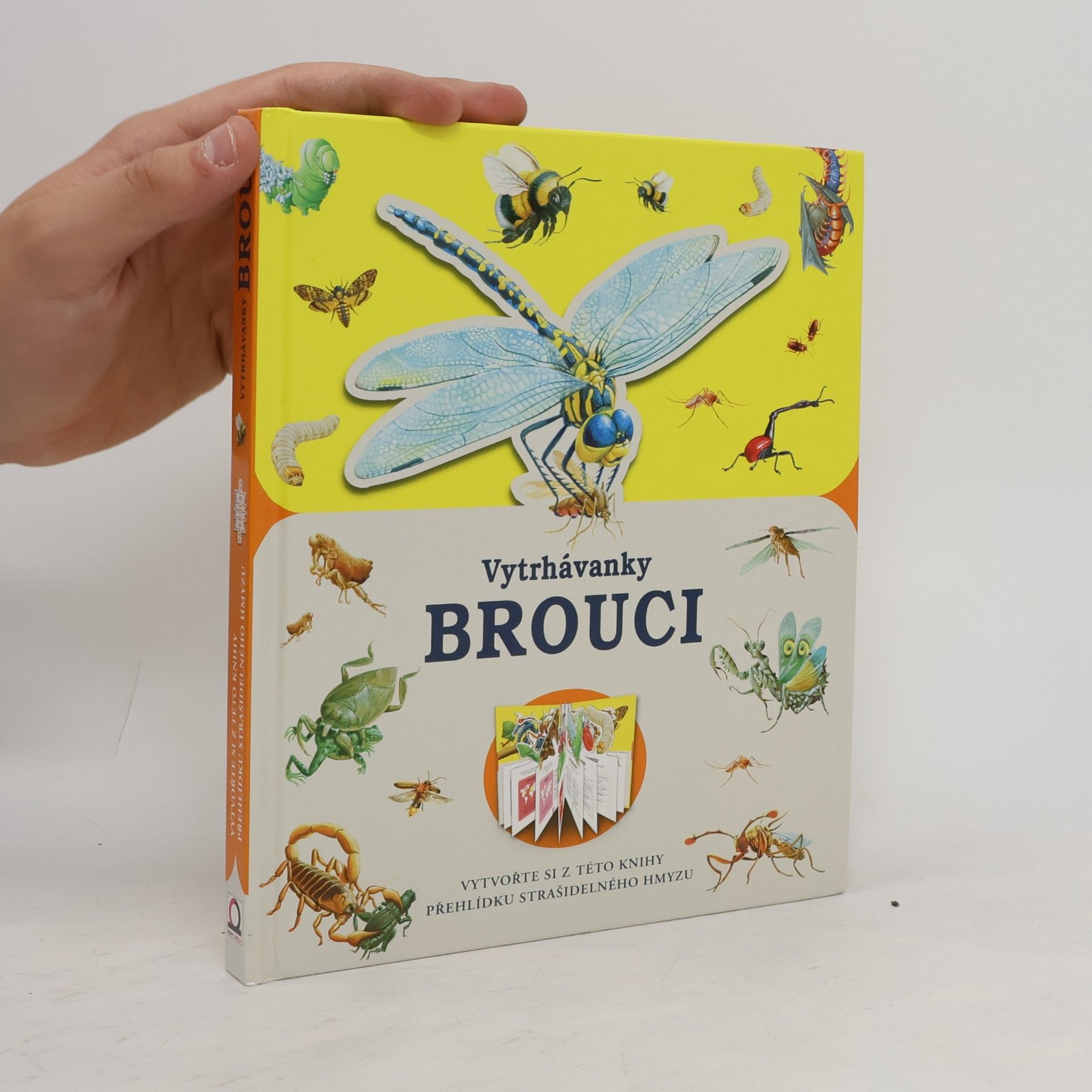 kolektiv Vytrhávanky: Brouci