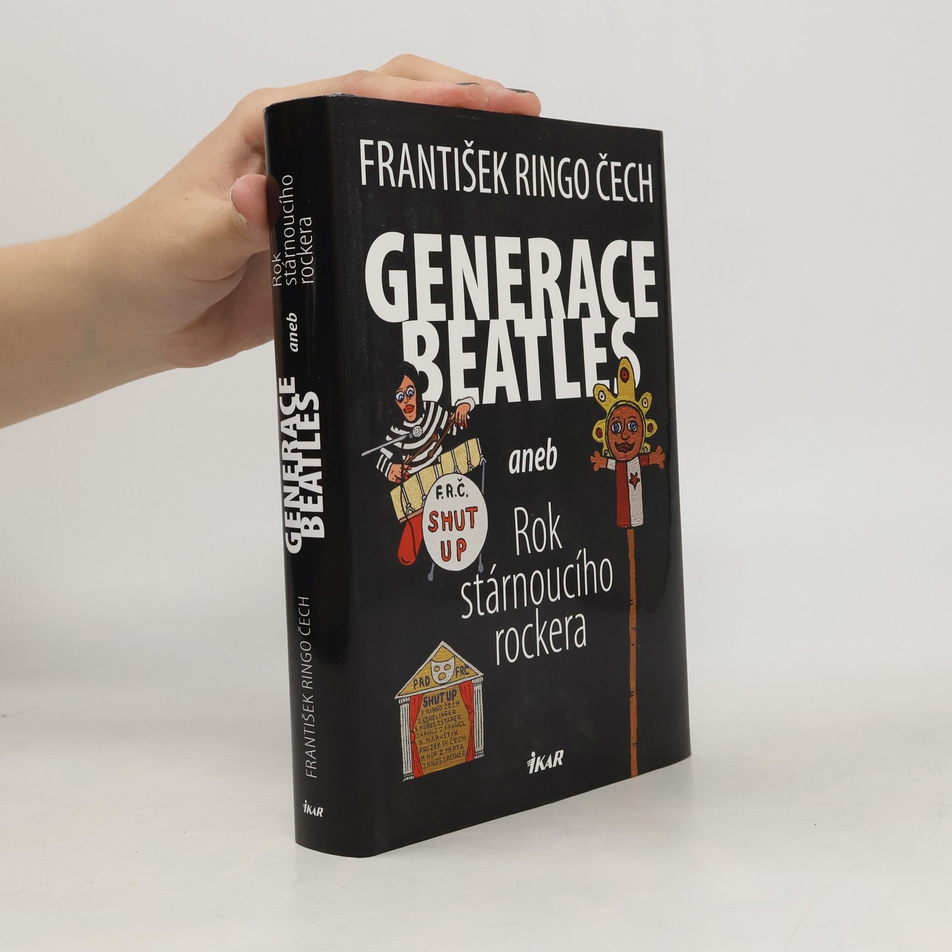 Generace Beatles, aneb, Rok stárnoucího rockera