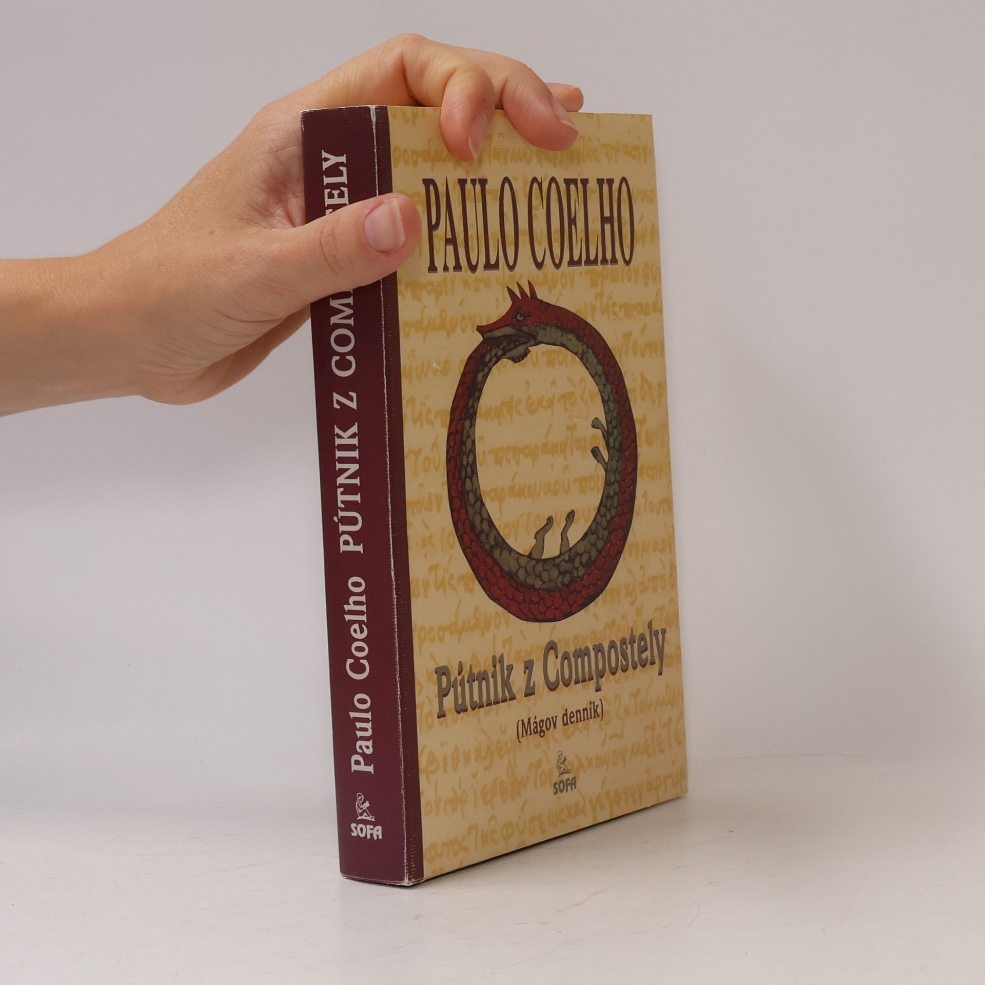 Paulo Coelho Pútnik z Compostely
