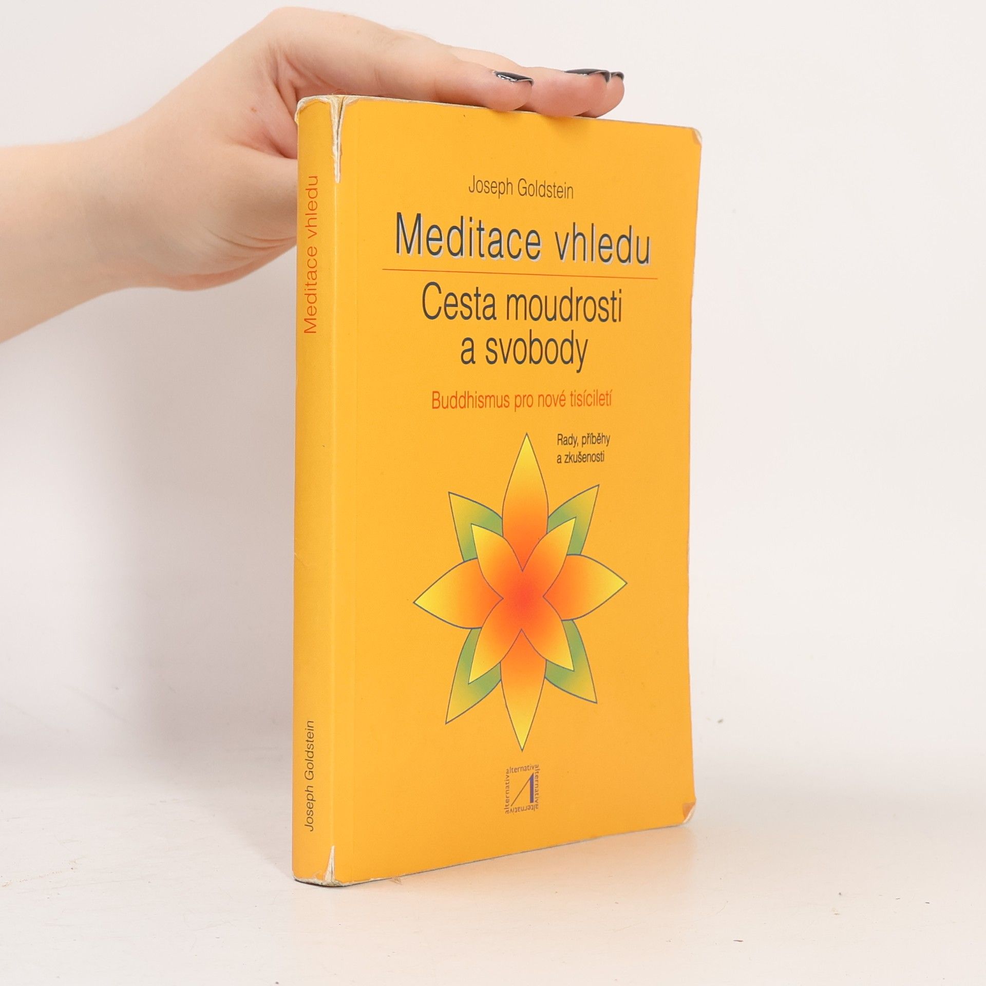 Petr Neugebauer Meditace vhledu: Cesta moudrosti a svobody: Buddhismus pro nové tisíciletí
