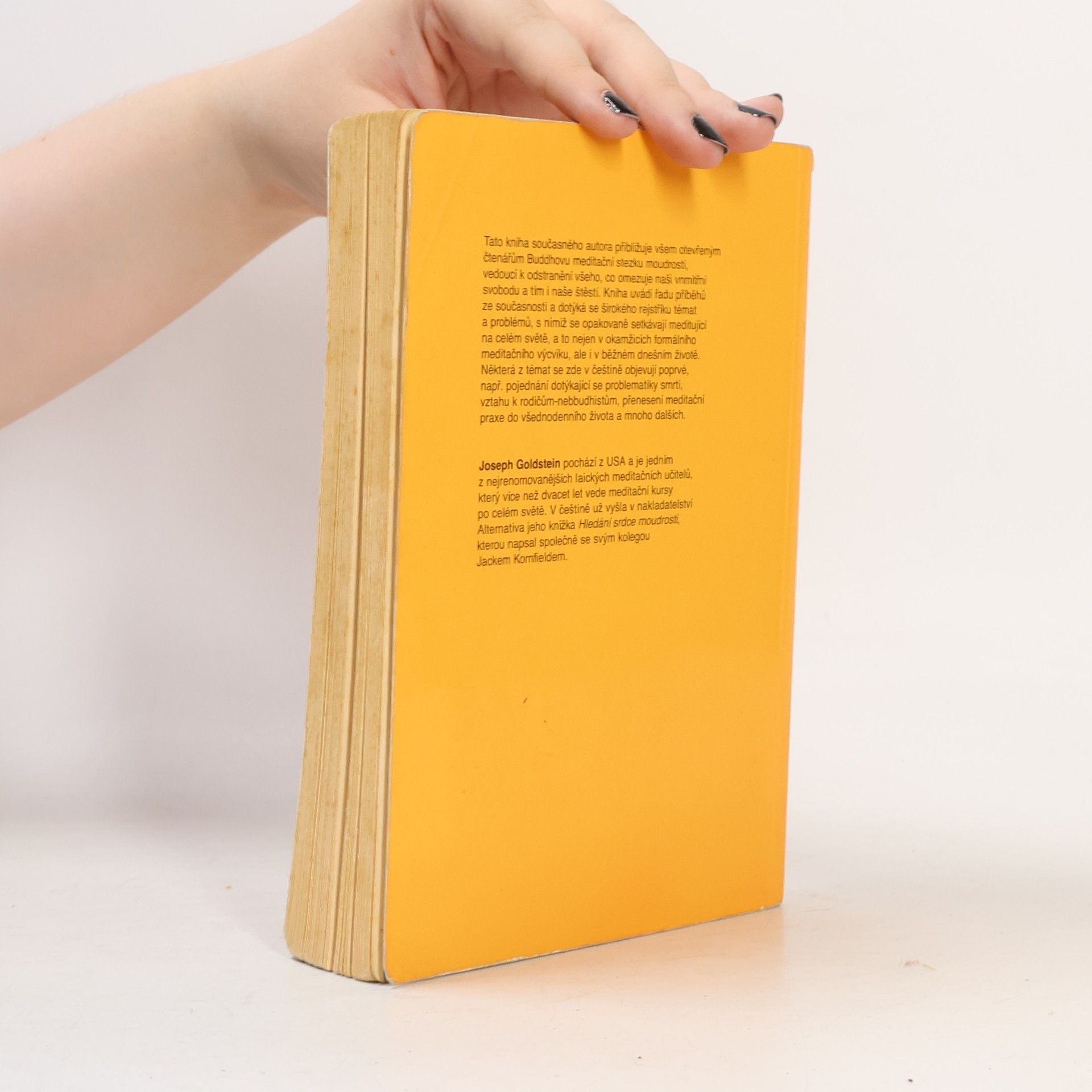 Joseph Goldstein Meditace vhledu: Cesta moudrosti a svobody: Buddhismus pro nové tisíciletí