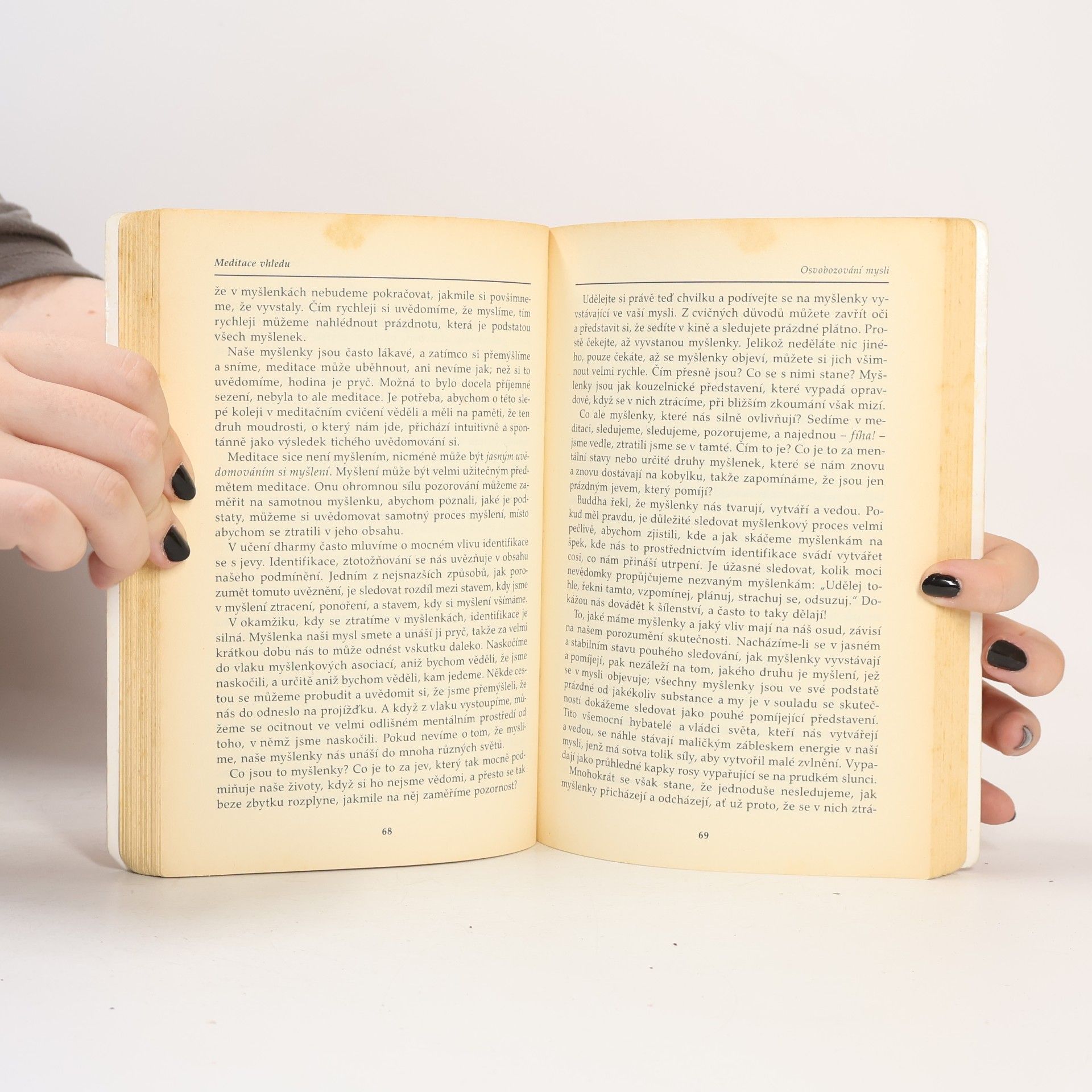 Joseph Goldstein Meditace vhledu: Cesta moudrosti a svobody: Buddhismus pro nové tisíciletí